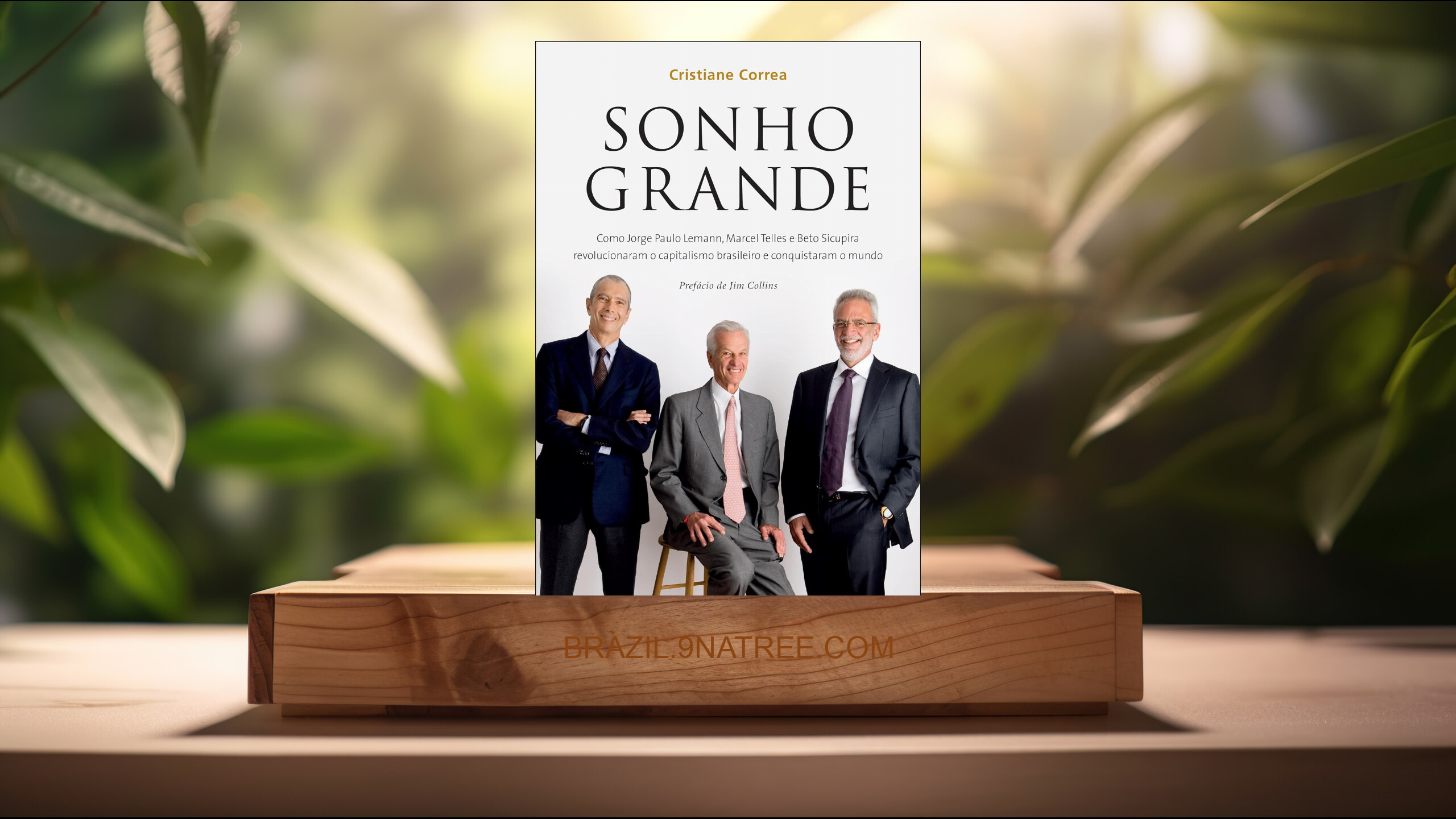 [Análises] Sonho grande (Cristiane Correa) Resumidos.