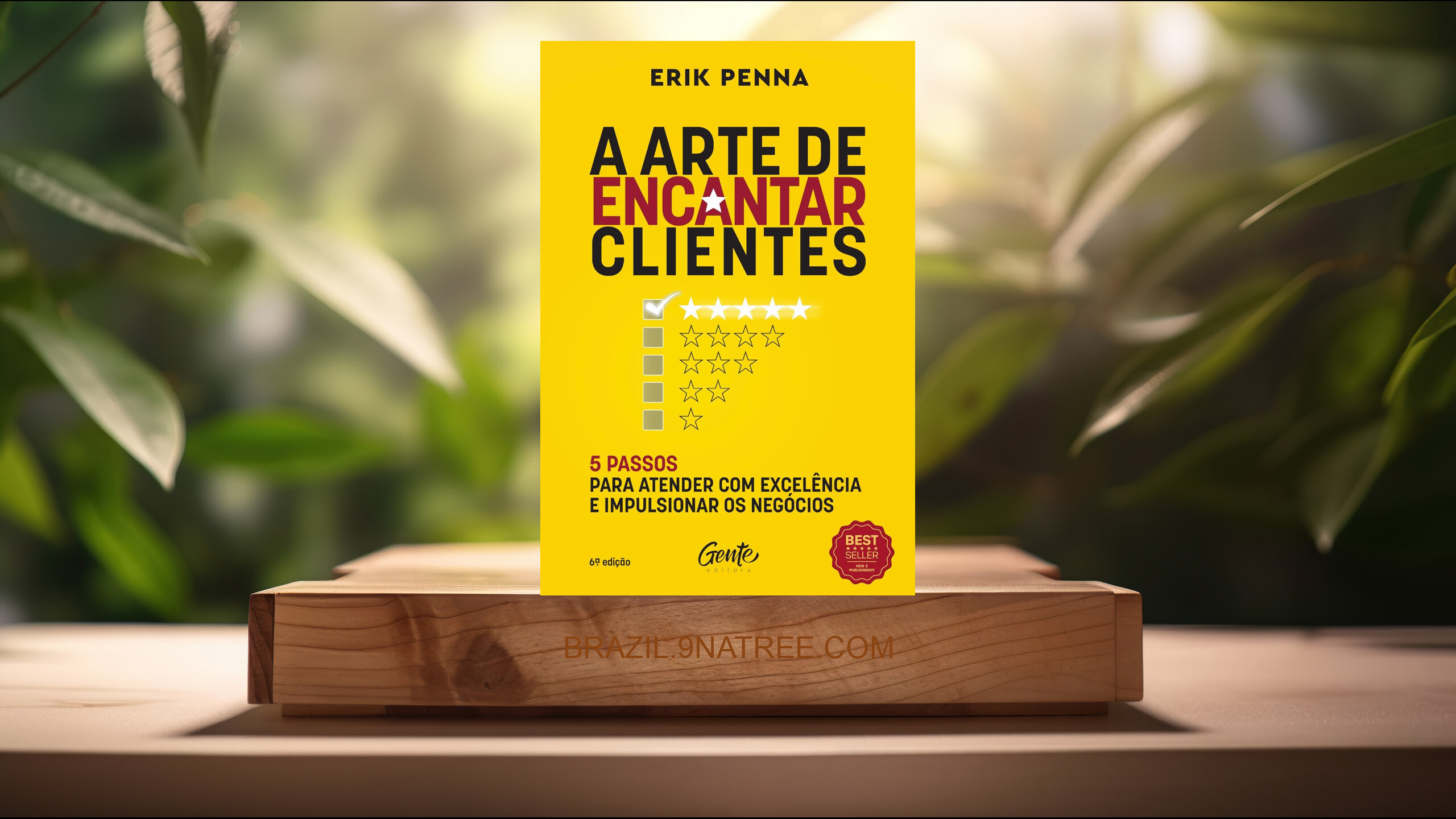 [Análises] A arte de encantar clientes (Erik Penna) Resumidos.