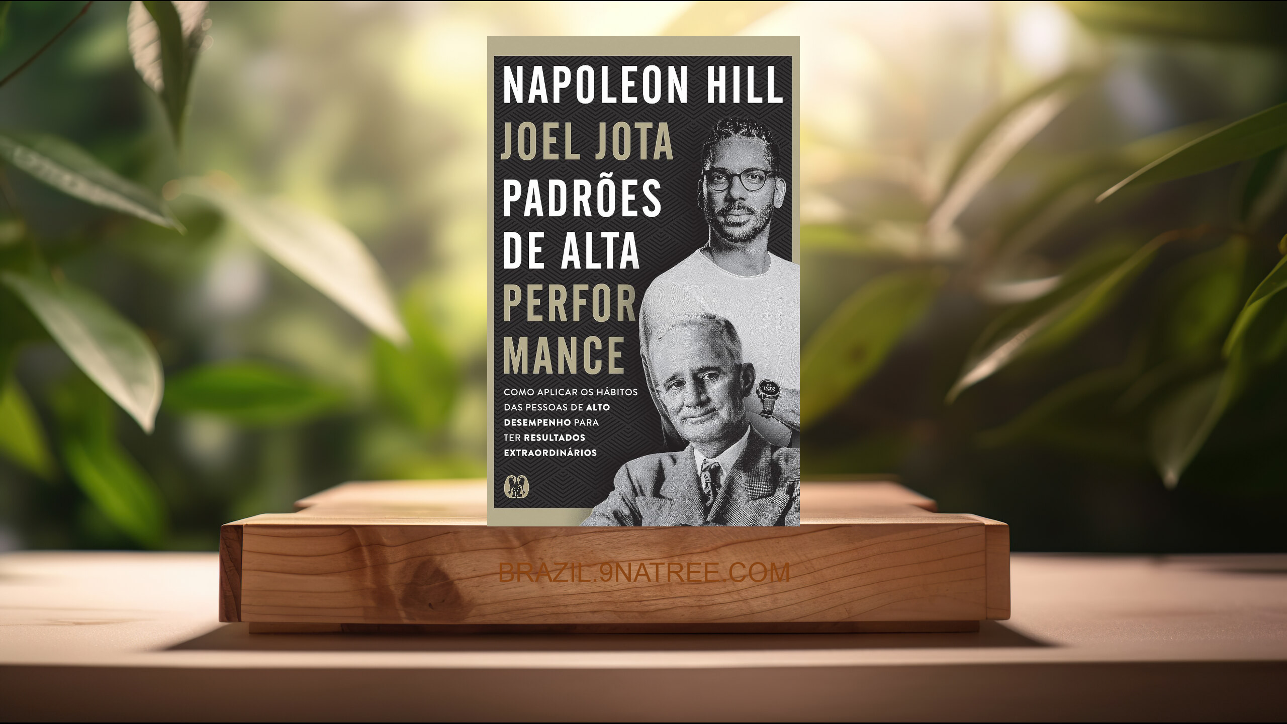 [Análises] Padrões de alta performance (Napoleon Hill) Resumidos.