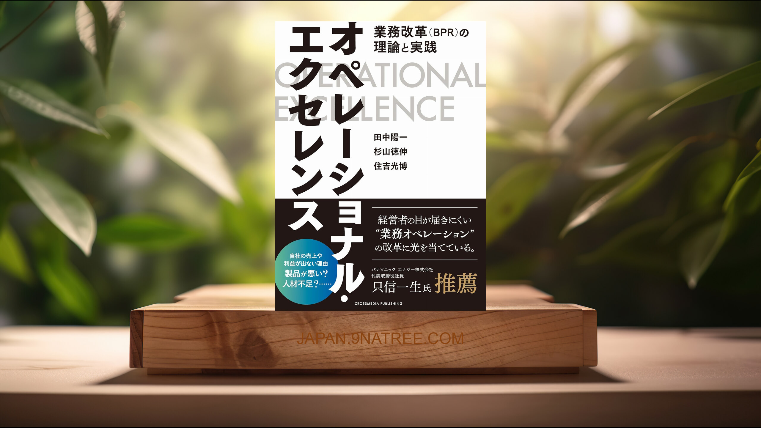 [レビュー] オペレーショナル・エクセレンス――業務改革（BPR）の理論と実践 (田中陽一) 要約した.