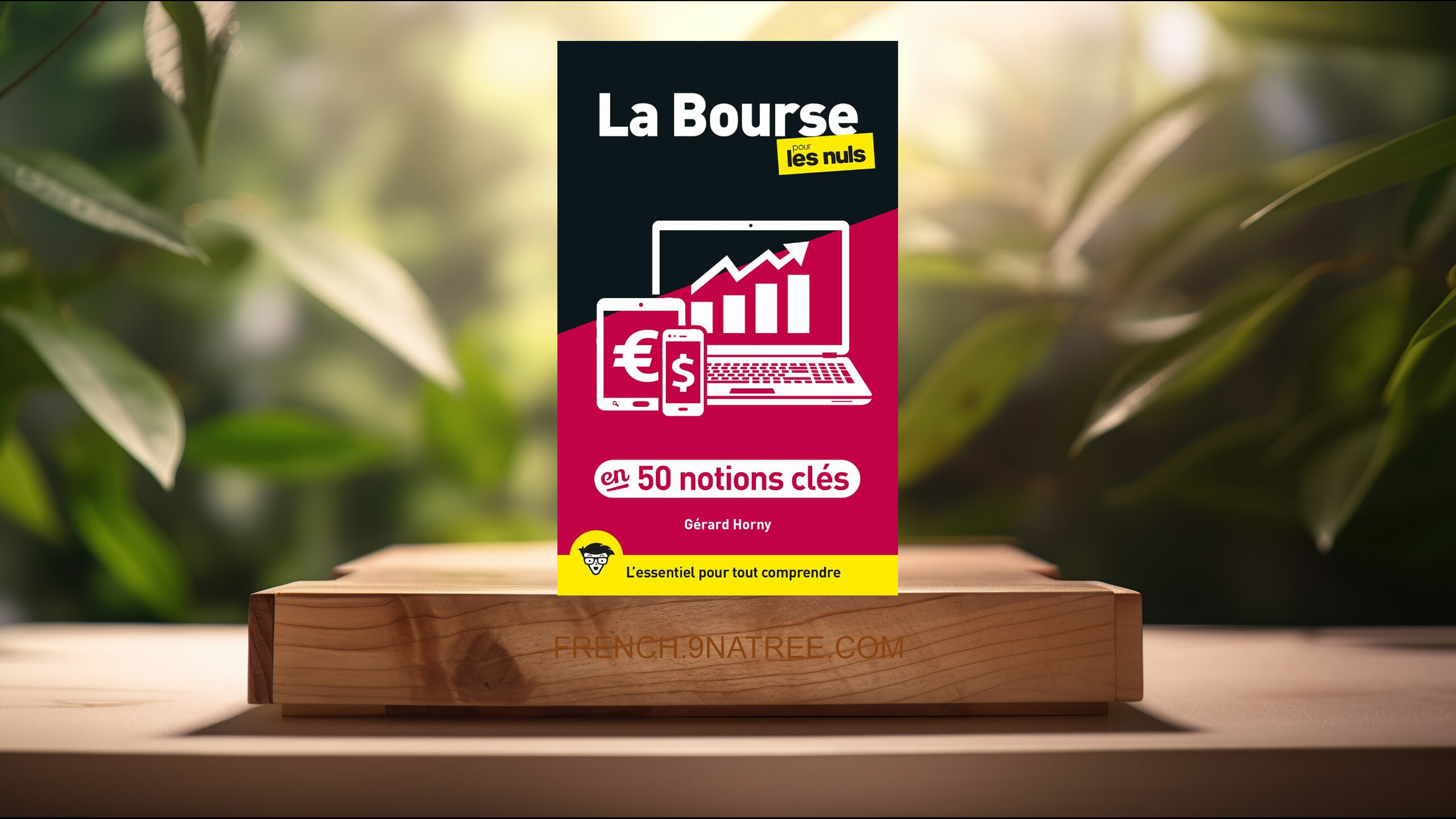 [Critique] La Bourse en 50 notions clés pour les Nuls (Gérard Horny) Résumé.