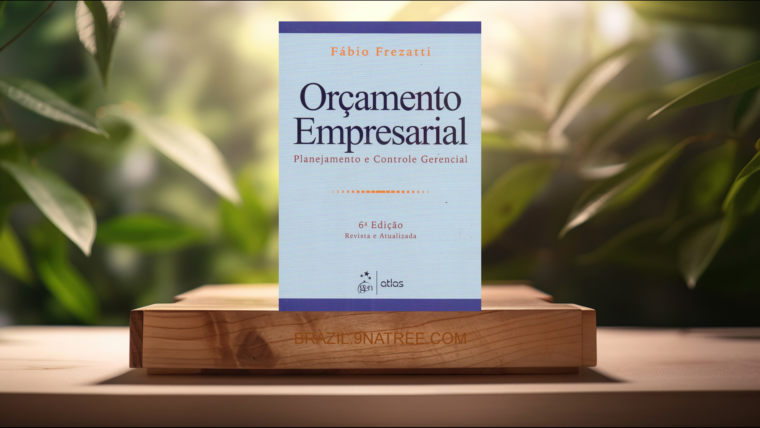 [Análises] Orçamento Empresarial: Planejamento E Controle Gerencial (Fábio Frezatti) Resumidos.