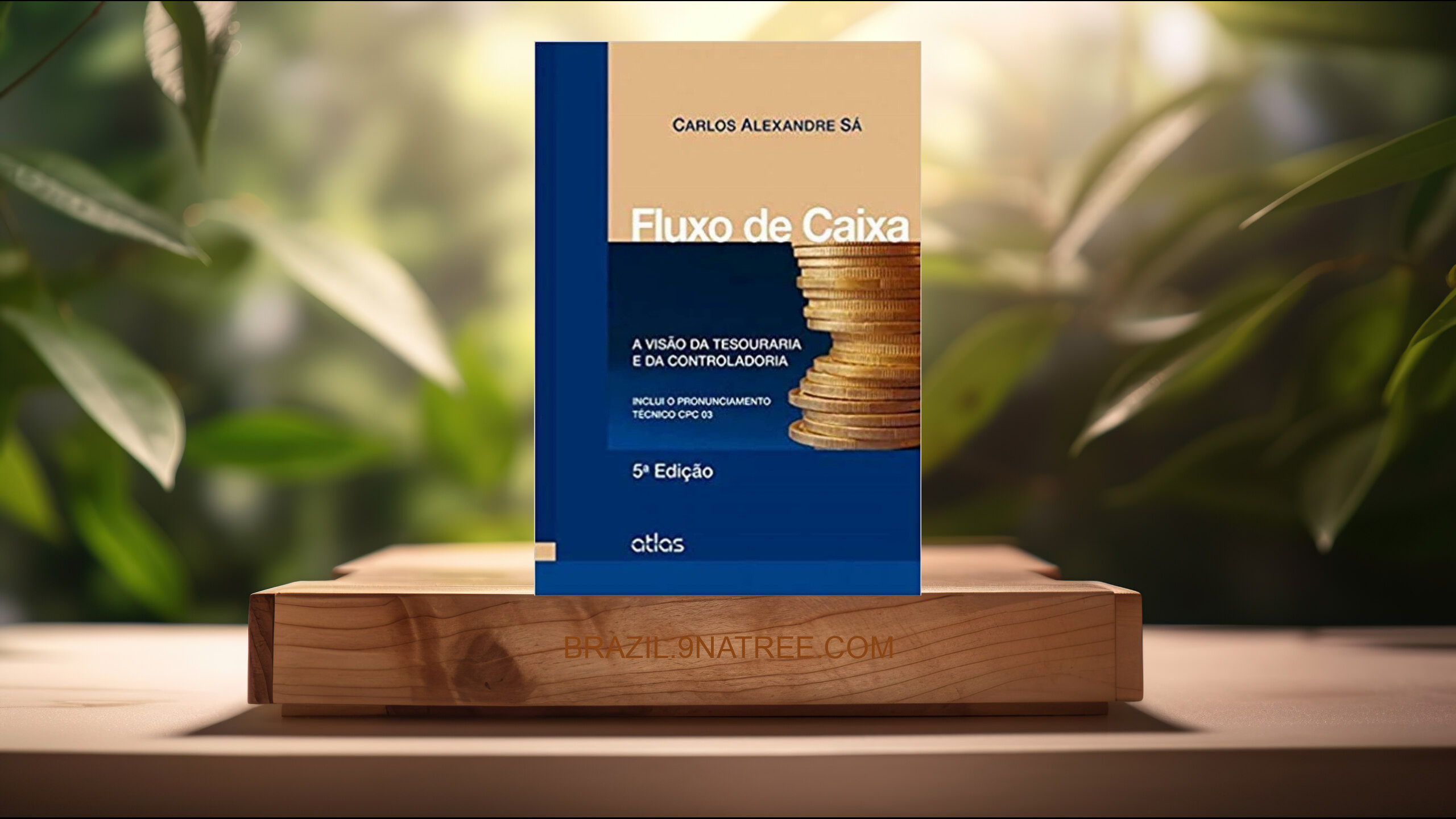 [Análises] Fluxo De Caixa: A Visão Da Tesouraria E Da Controladoria (Carlos Alexandre Sa) Resumidos.