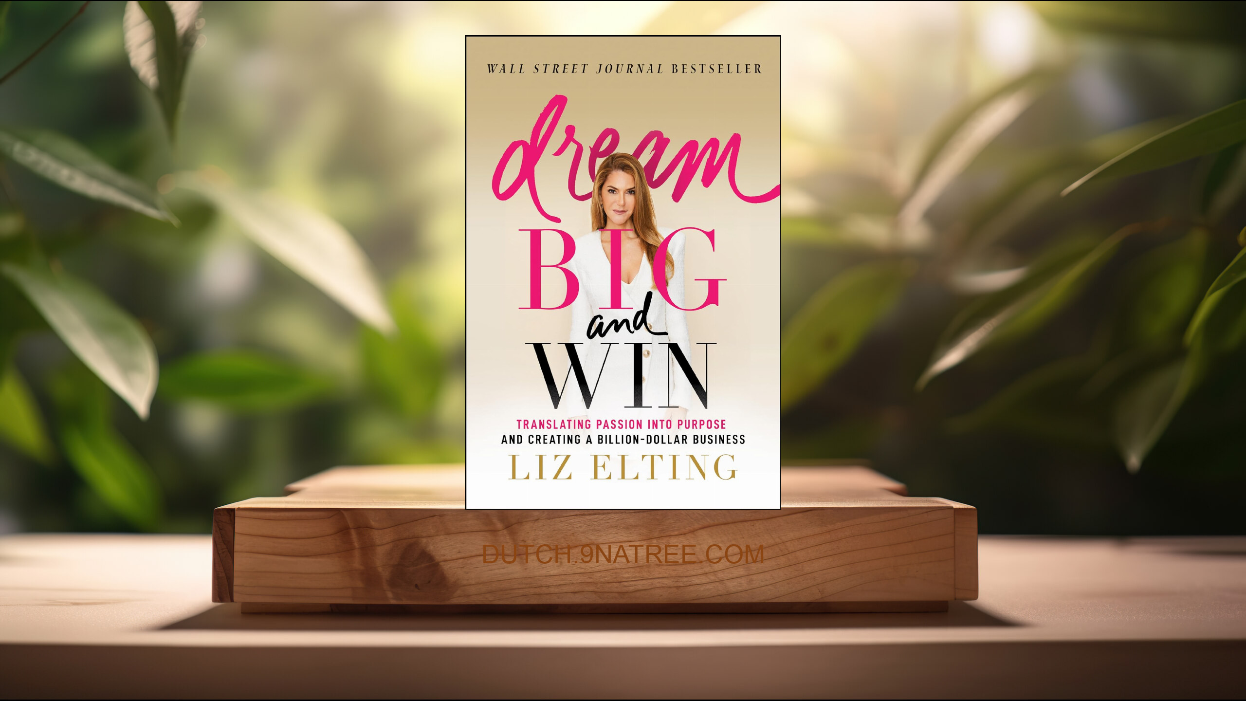 [Boekrecensie] Dream Big and Win (Liz Elting) Boeksamenvatting.