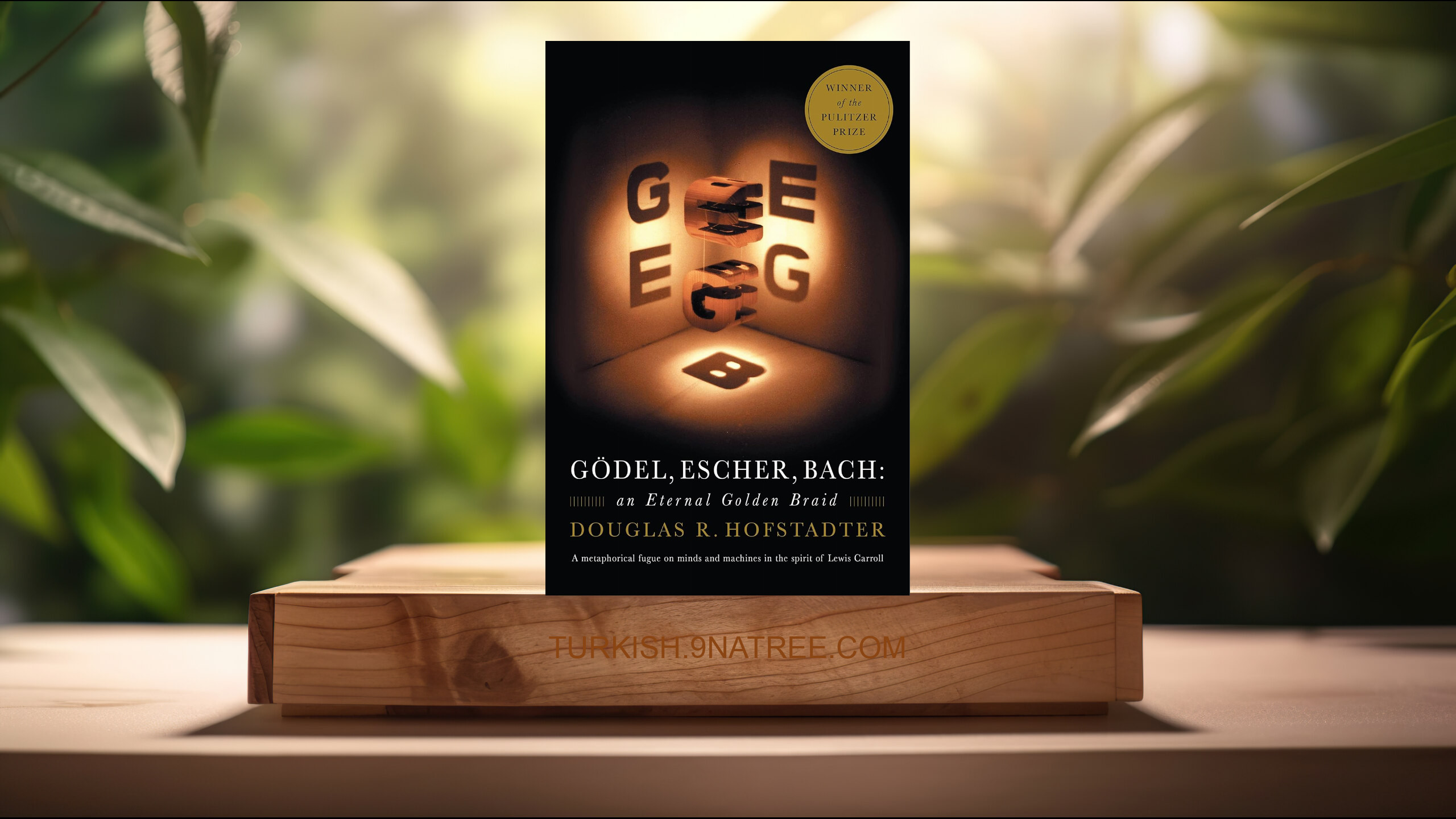 [İncelemesi] Gödel, Escher, Bach: An Eternal Golden Braid (Douglas R Hofstadter) Özeti.