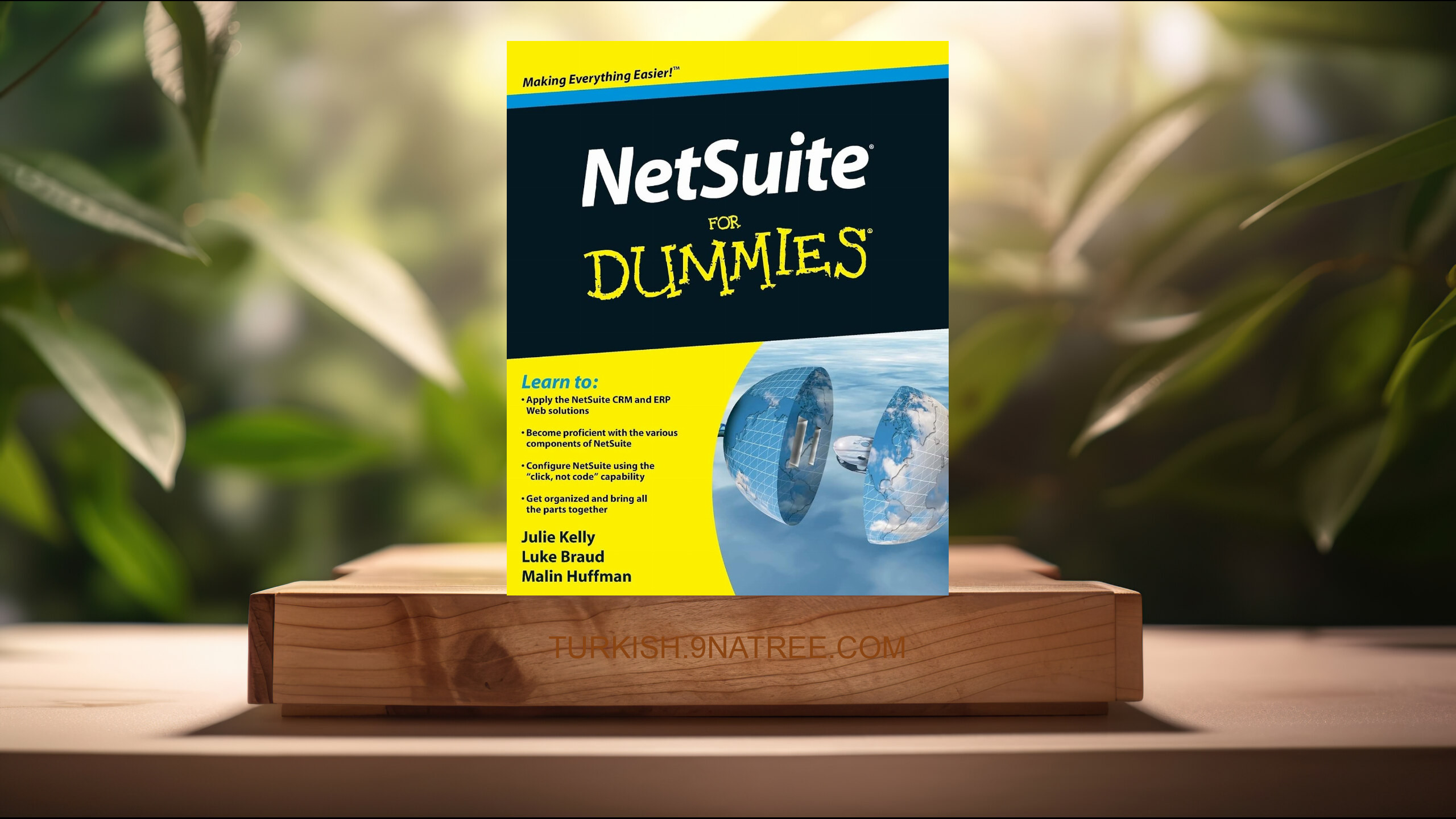 [İncelemesi] NetSuite For Dummies (Julie Kelly) Özeti.