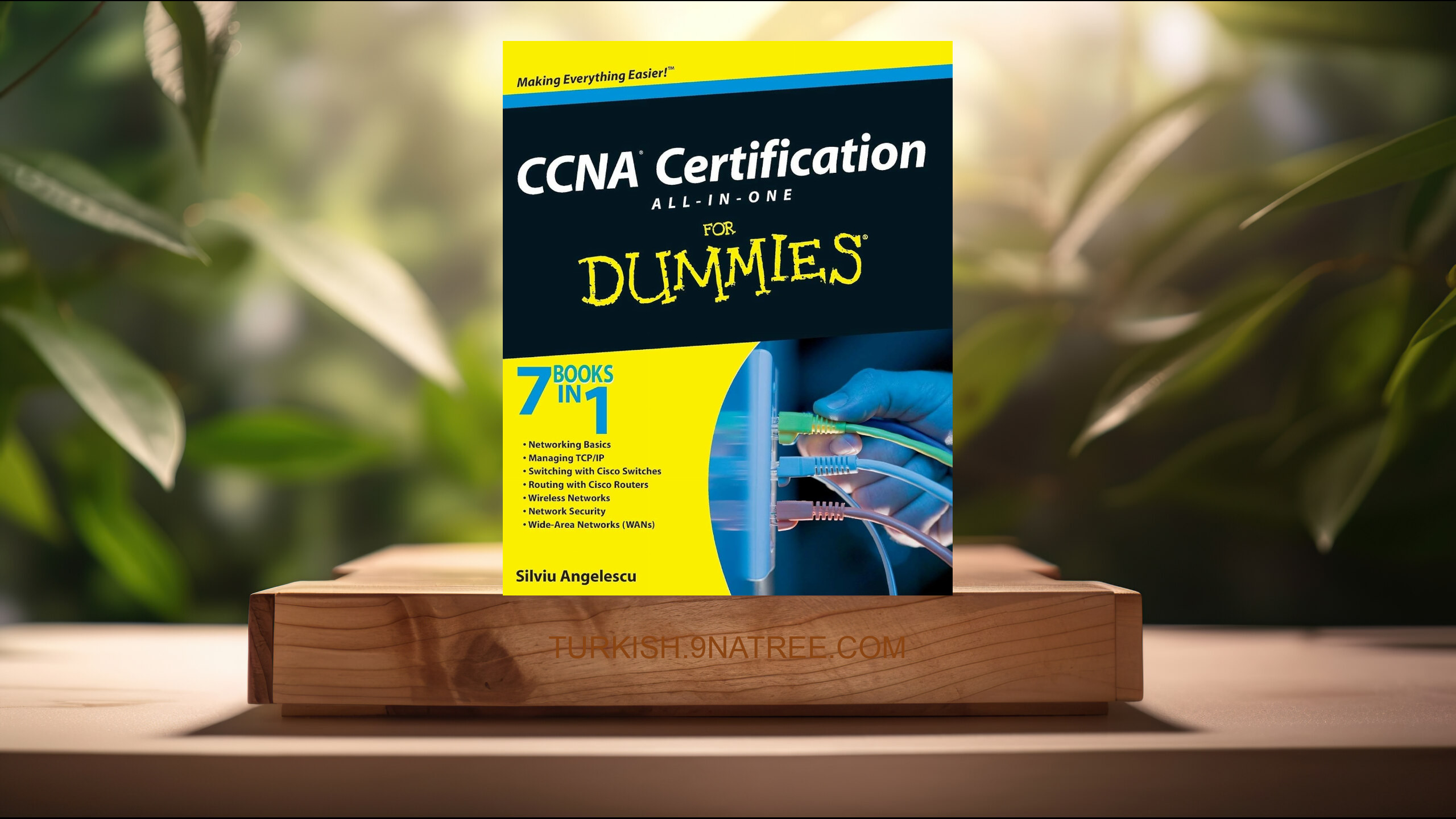 [İncelemesi] CCNA Certification AIO For Dummies (Angelescu) Özeti.