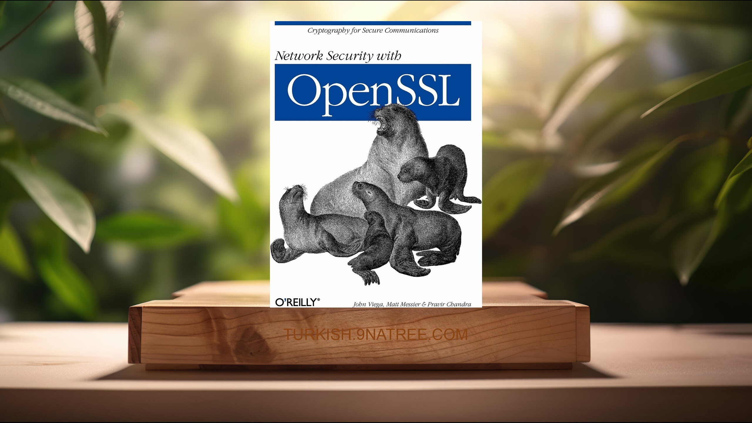 [İncelemesi] Network Security with OpenSSL (John Viega) Özeti.