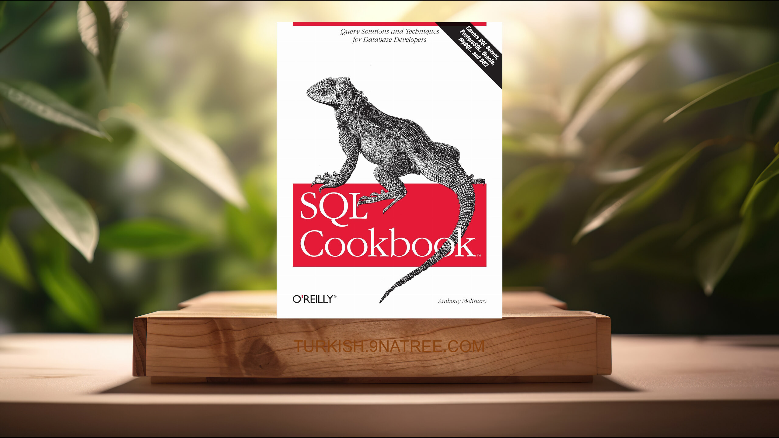 [İncelemesi] SQL Cookbook: Query Solutions and Techniques for Database Developers ) (Anthony Molinaro) Özeti.