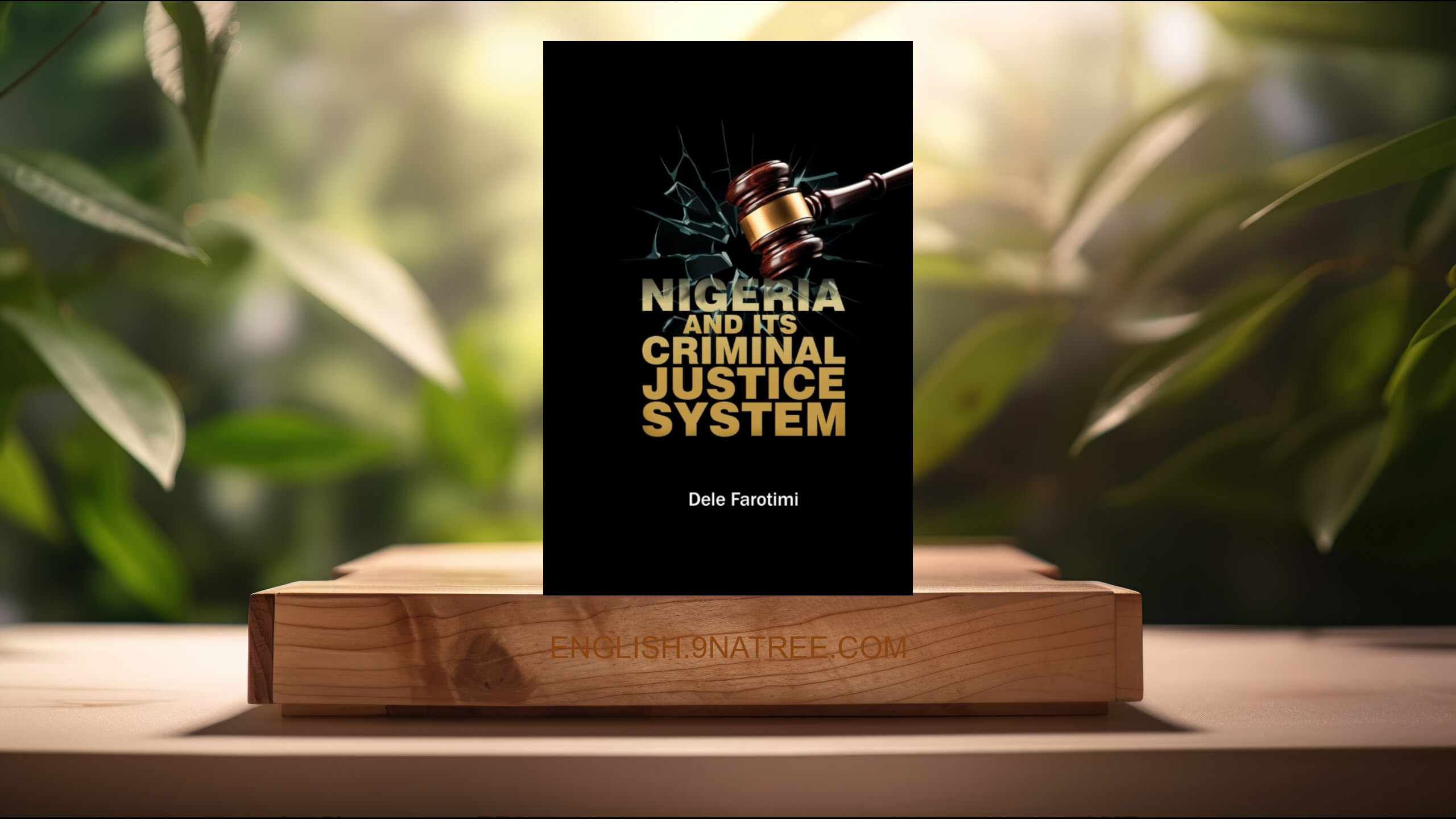 [Review] NIGERIA AND ITS CRIMINAL JUSTICE SYSTEM ('Dele Farotimi) Summarized.