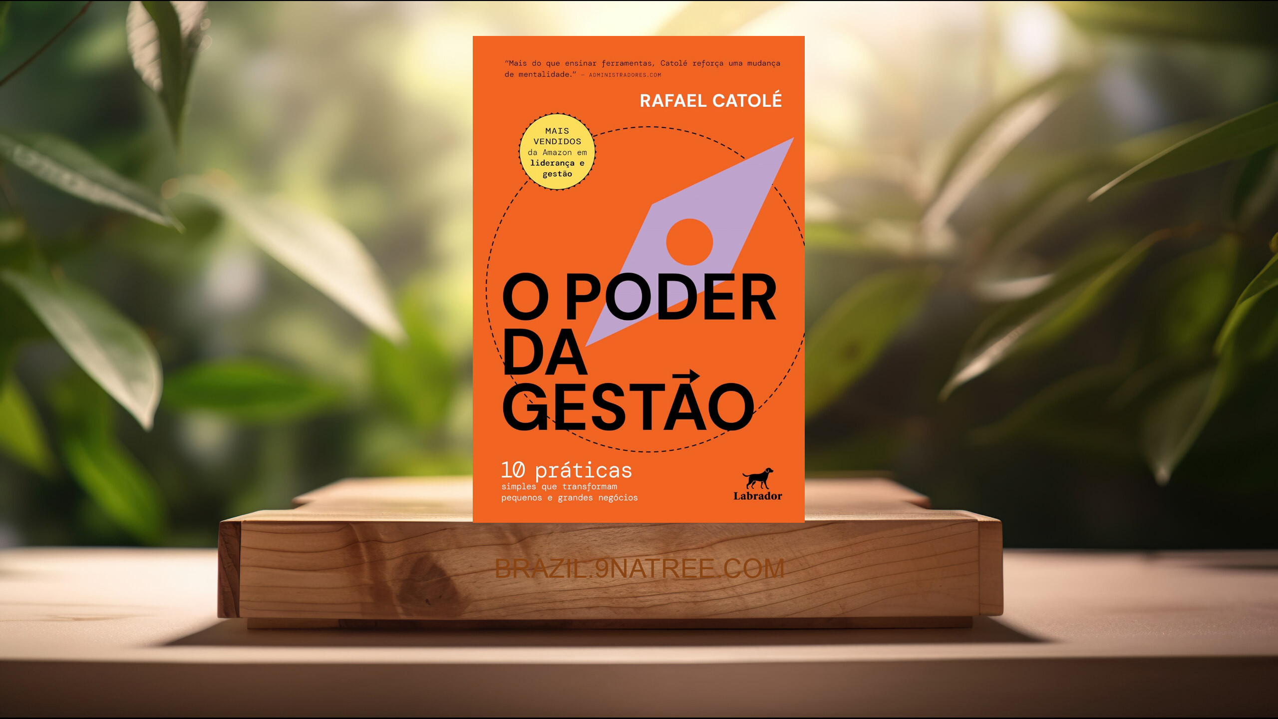 [Análises] O poder da gestão (Rafael Catolé Demétrio) Resumidos.