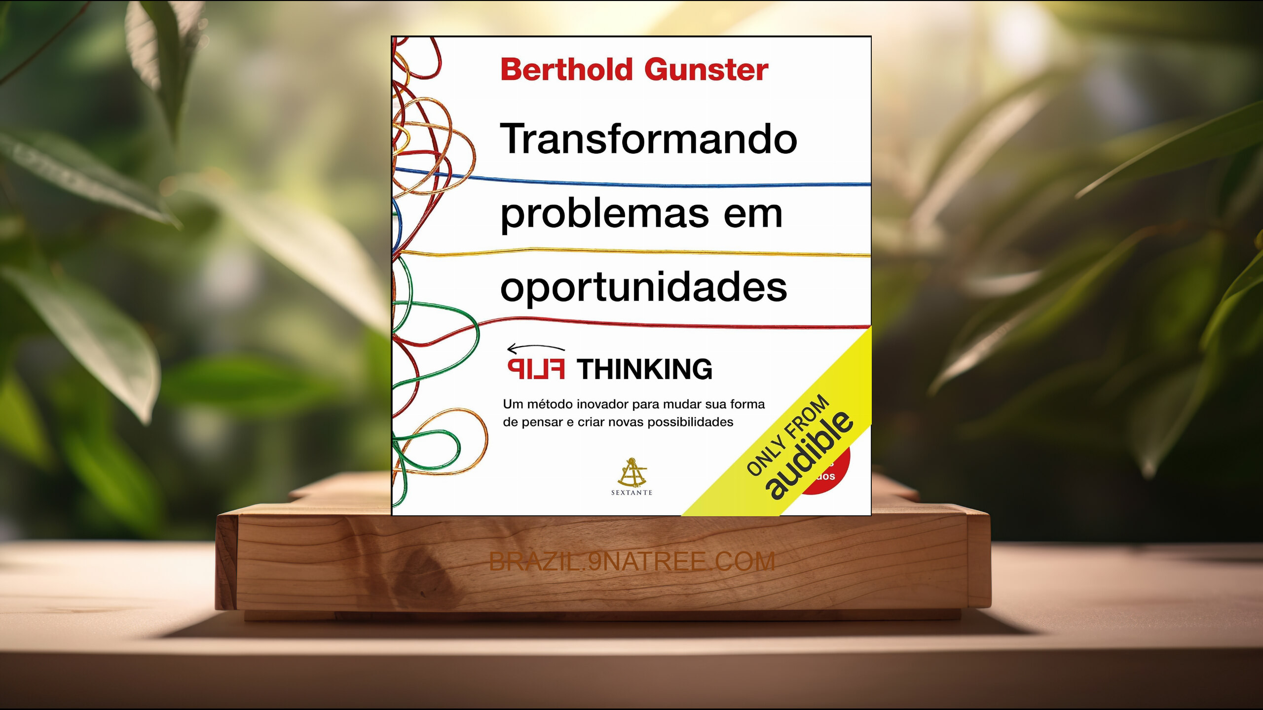 [Análises] Transformando problemas em oportunidades (Berthold Gunster) Resumidos.