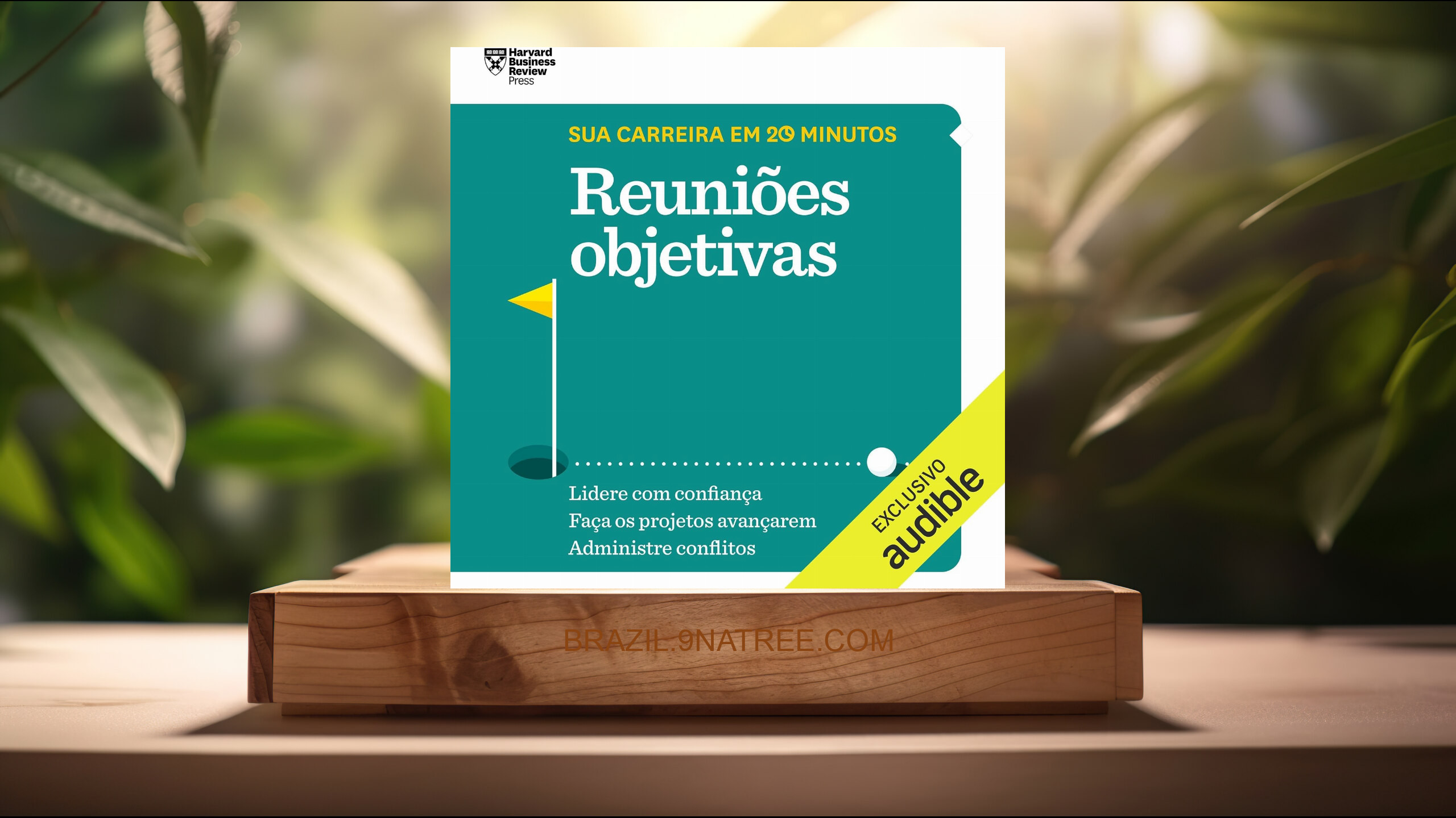 [Análises] Reuniões objetivas  (Harvard Business Review) Resumidos.