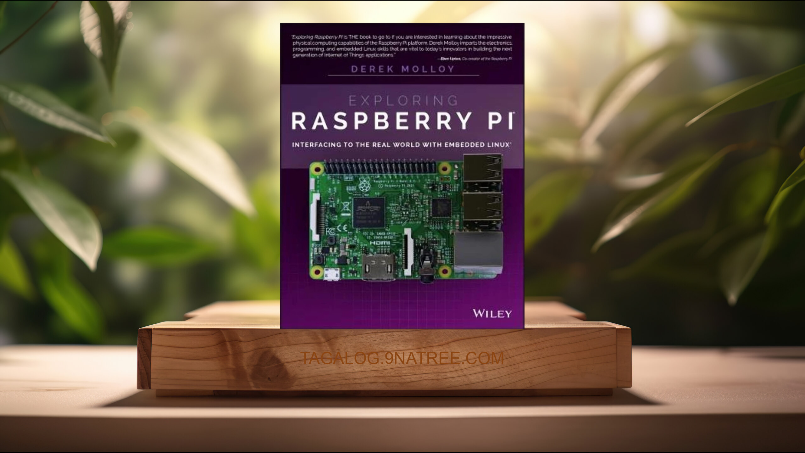 [Pagsusuri] Exploring Raspberry Pi (Derek Molloy) Nabuod.