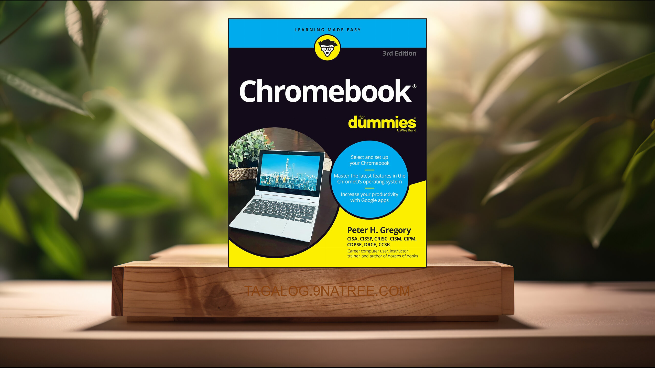 [Pagsusuri] Chromebook For Dummies ) (Peter H. Gregory) Nabuod.