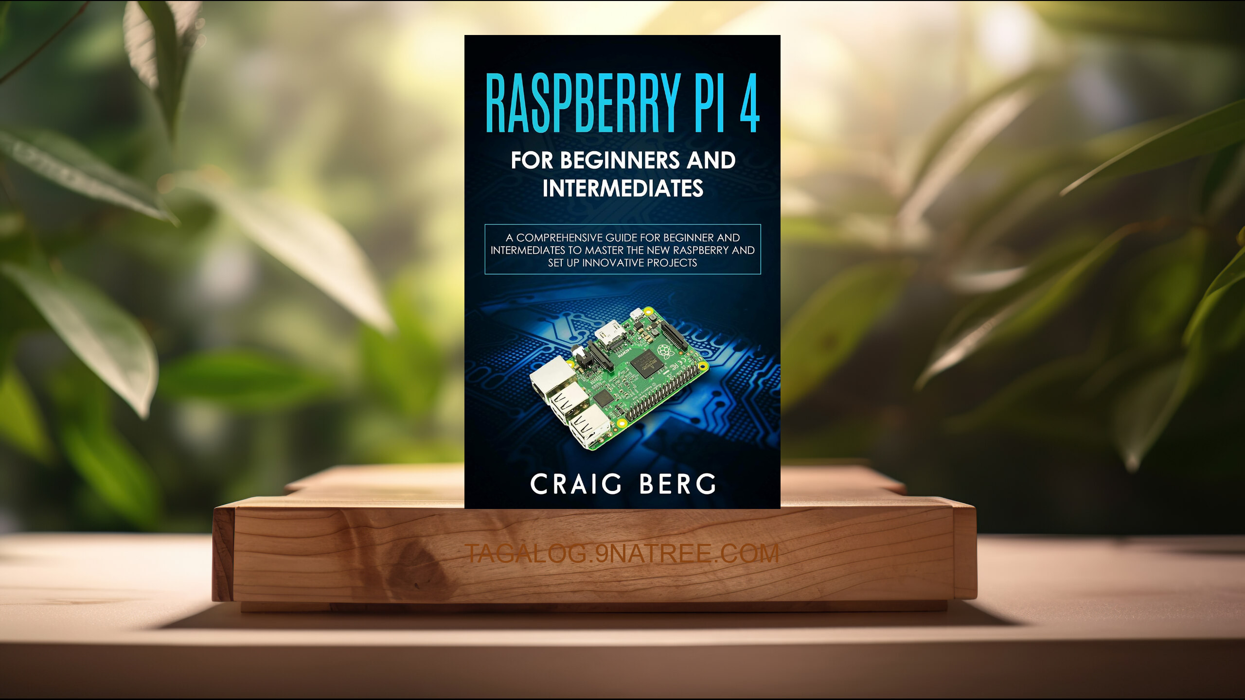 [Pagsusuri] Raspberry Pi 4 For Beginners And Intermediates (Craig Berg) Nabuod.