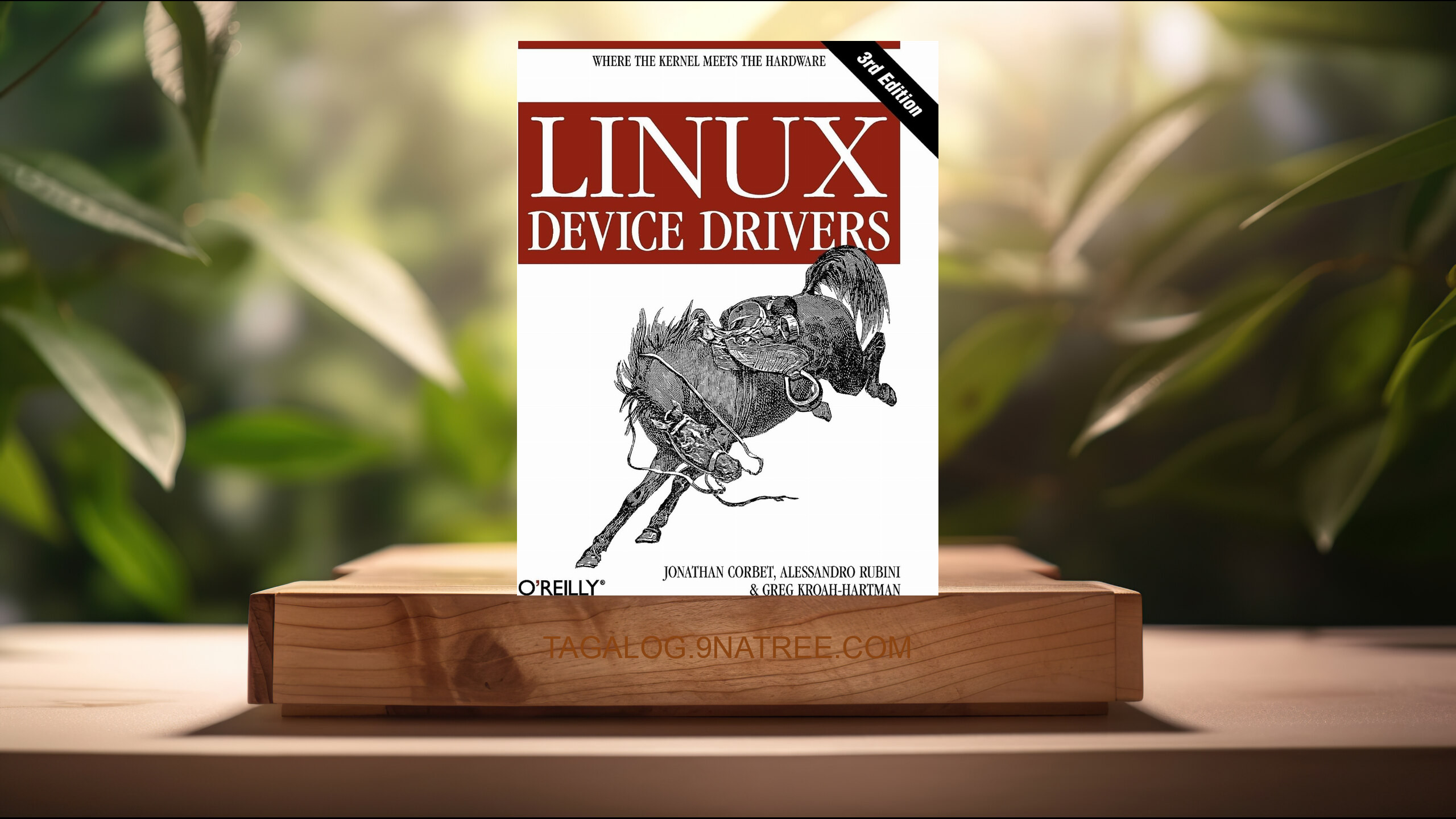 [Pagsusuri] Linux Device Drivers, 3rd Edition (Jonathan Corbet) Nabuod.