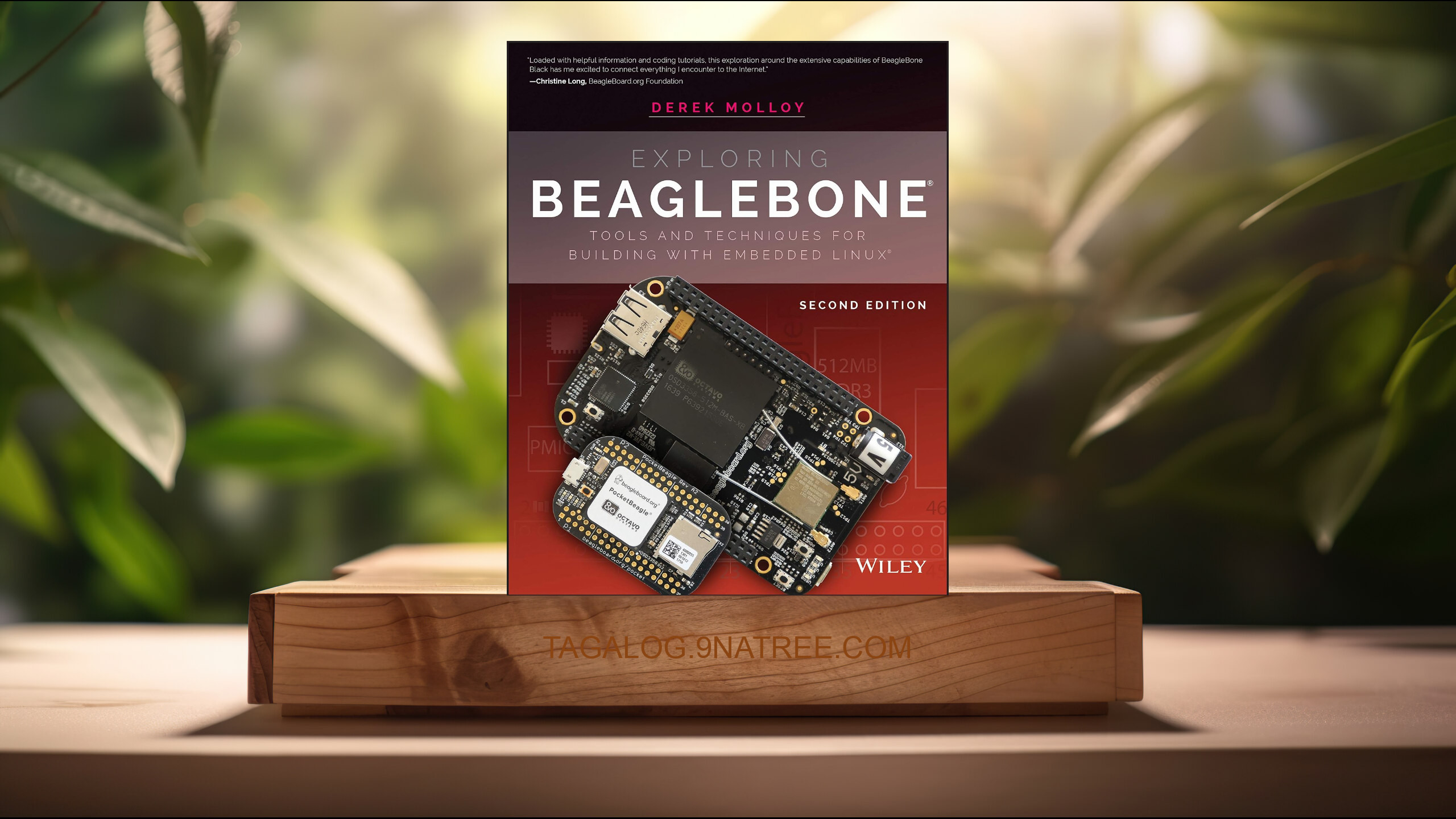 [Pagsusuri] Exploring BeagleBone (Derek Molloy) Nabuod.