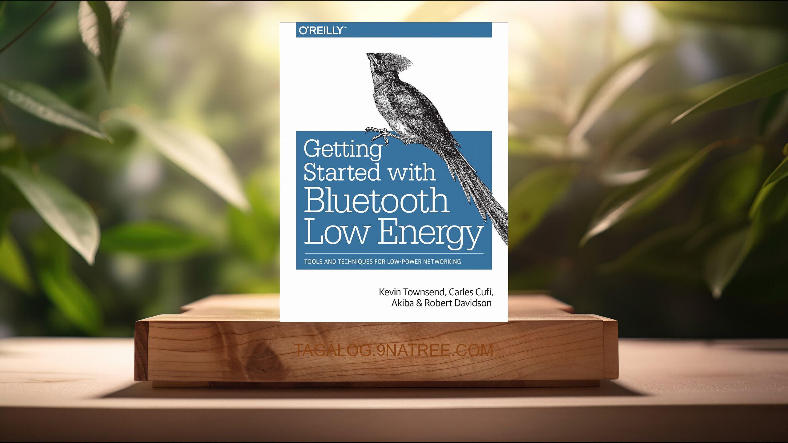 [Pagsusuri] Getting Started with Bluetooth Low Energy (Kevin Townsend) Nabuod.