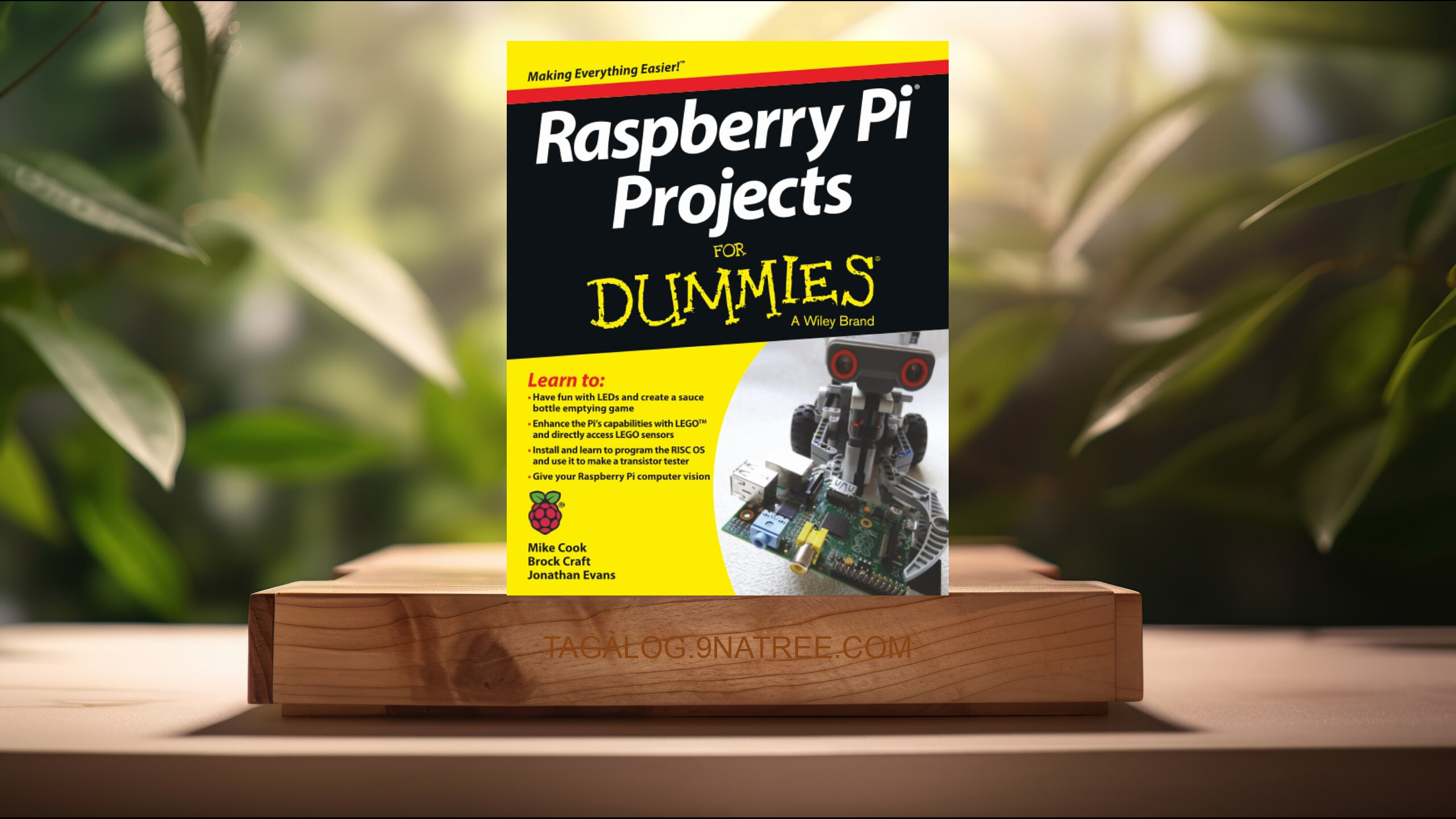 [Pagsusuri] Raspberry Pi Projects For Dummies (Mike Cook) Nabuod.