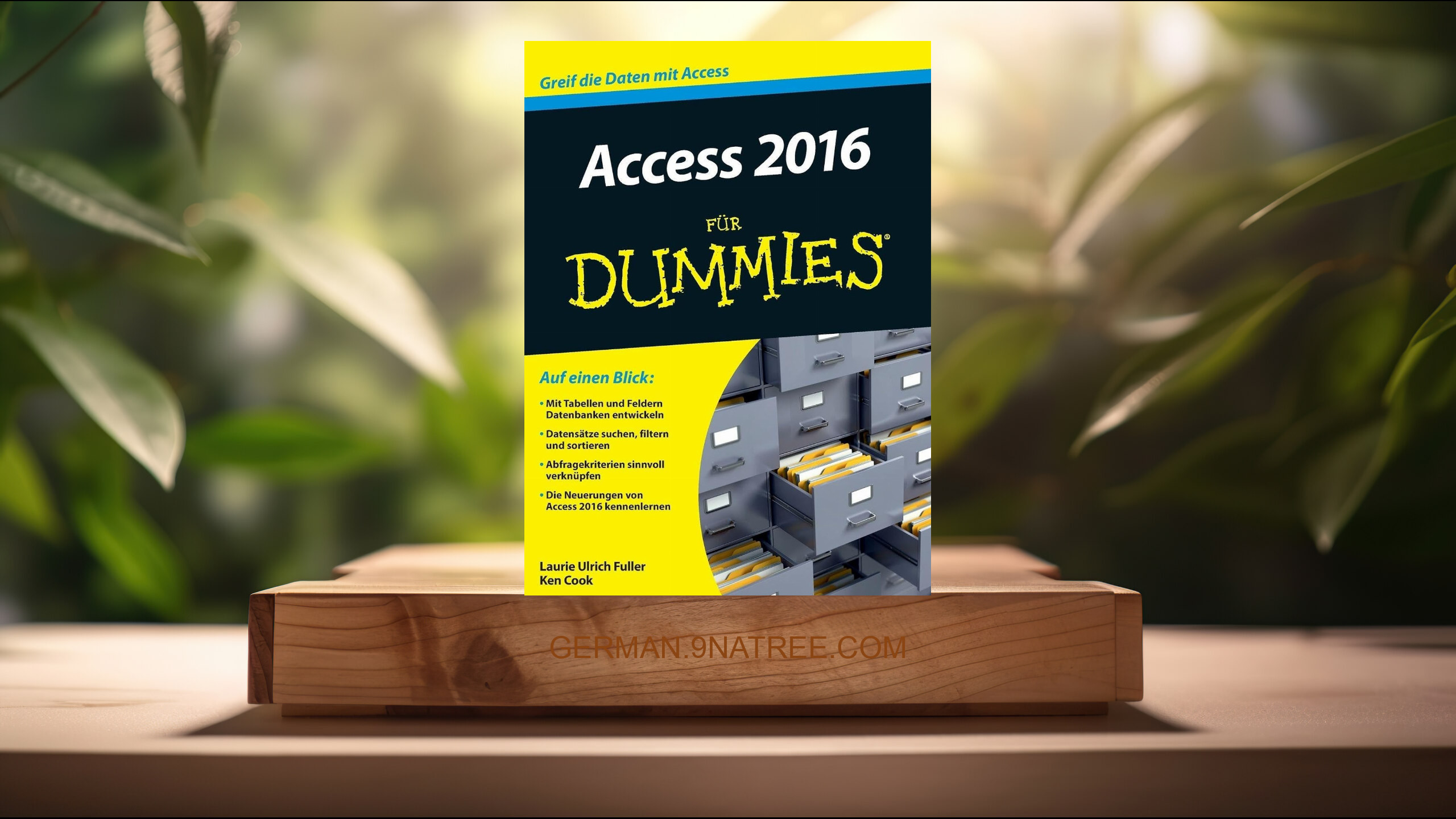 [Rezensiert] Access 2016 für Dummies (Laurie A. Ulrich) Zusammengefasst.