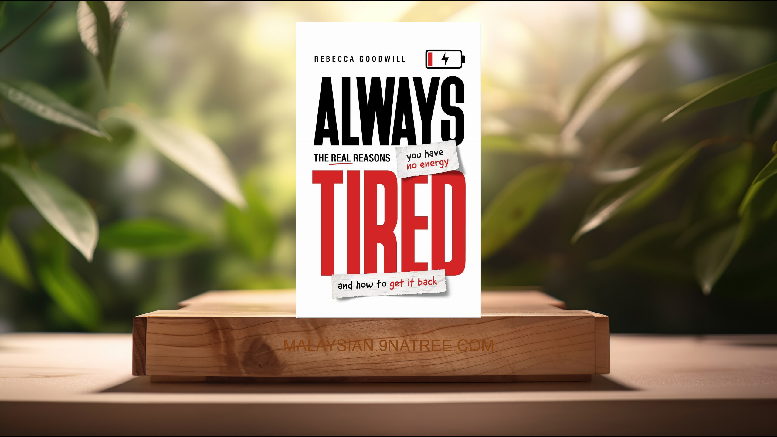 [Ulasan] Always Tired (Rebecca Goodwill) Diringkaskan.