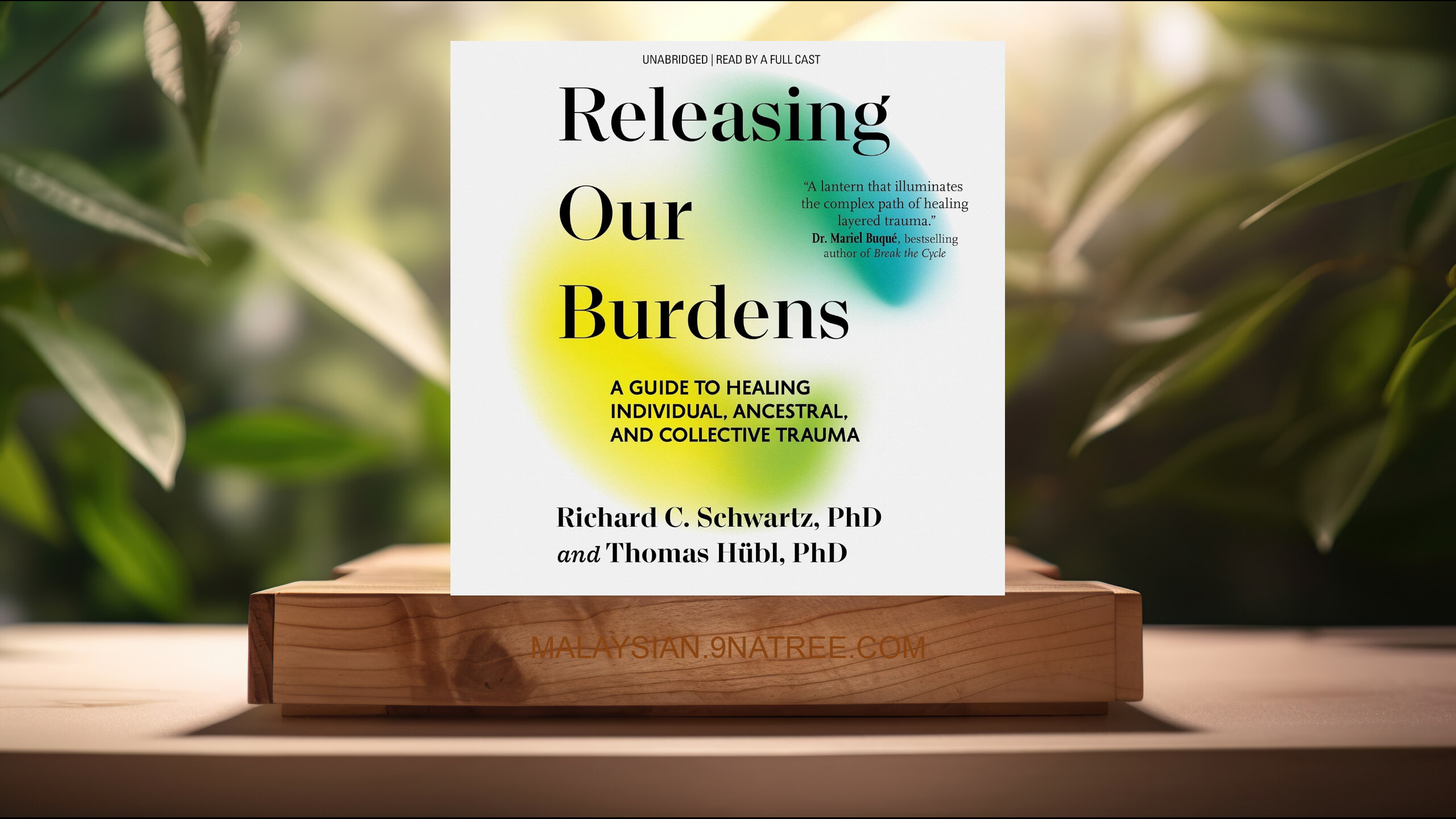 [Ulasan] Releasing Our Burdens (PhD Richard C. Schwartz) Diringkaskan.