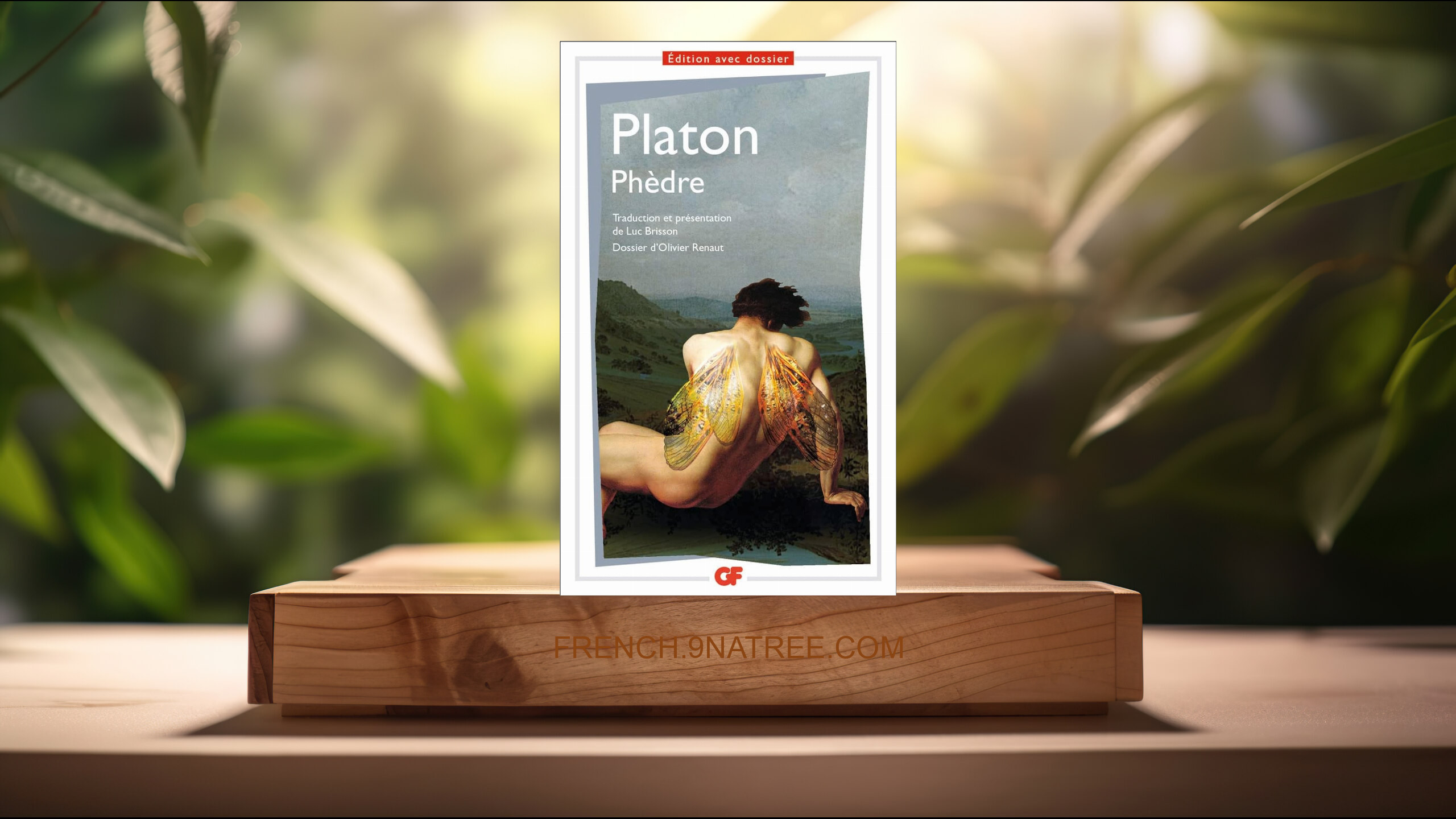 [Critique] Phèdre (Platon) Résumé.