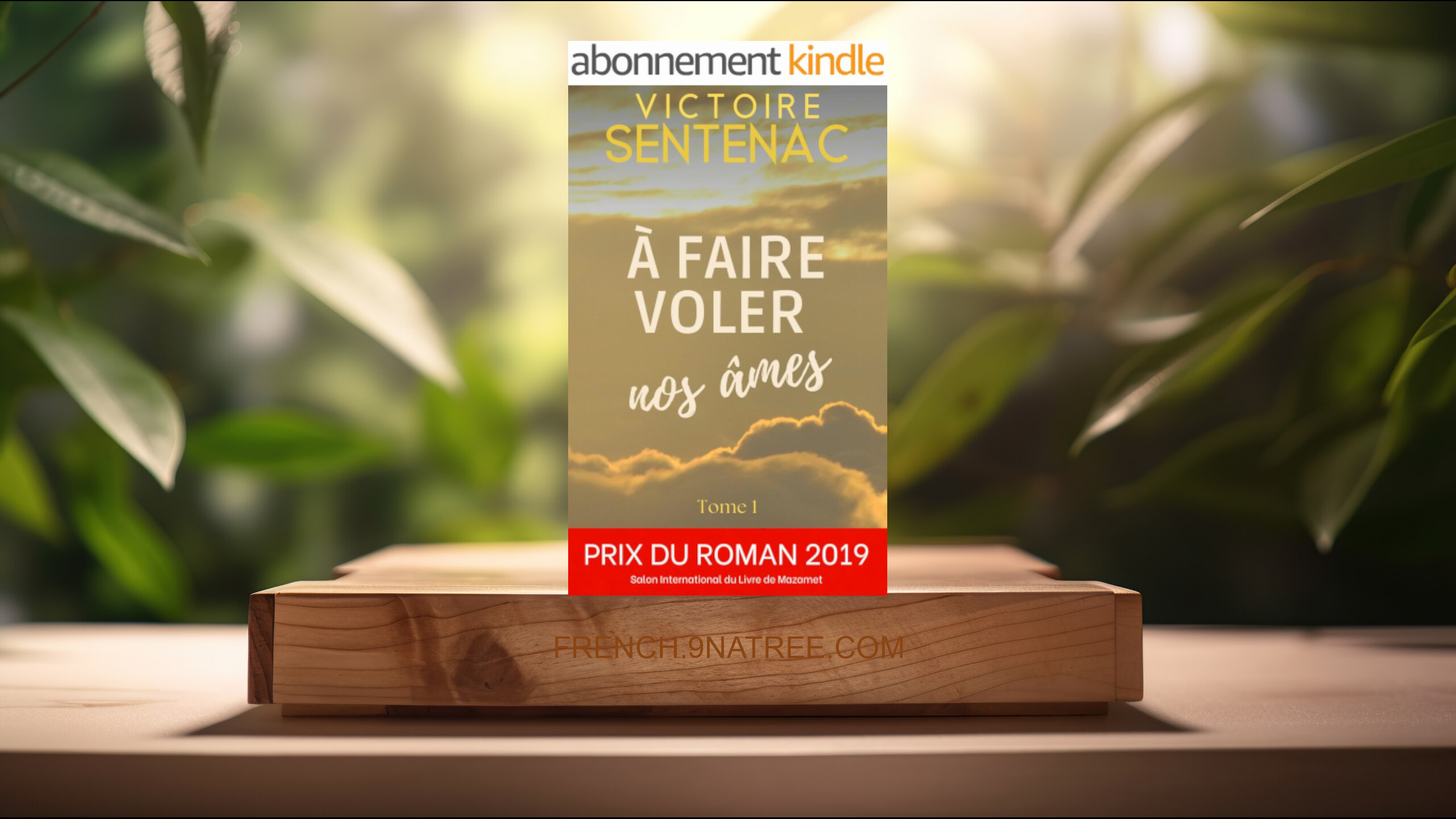 [Critique] À FAIRE VOLER NOS ÂMES - Tome 1 (Victoire Sentenac) Résumé.