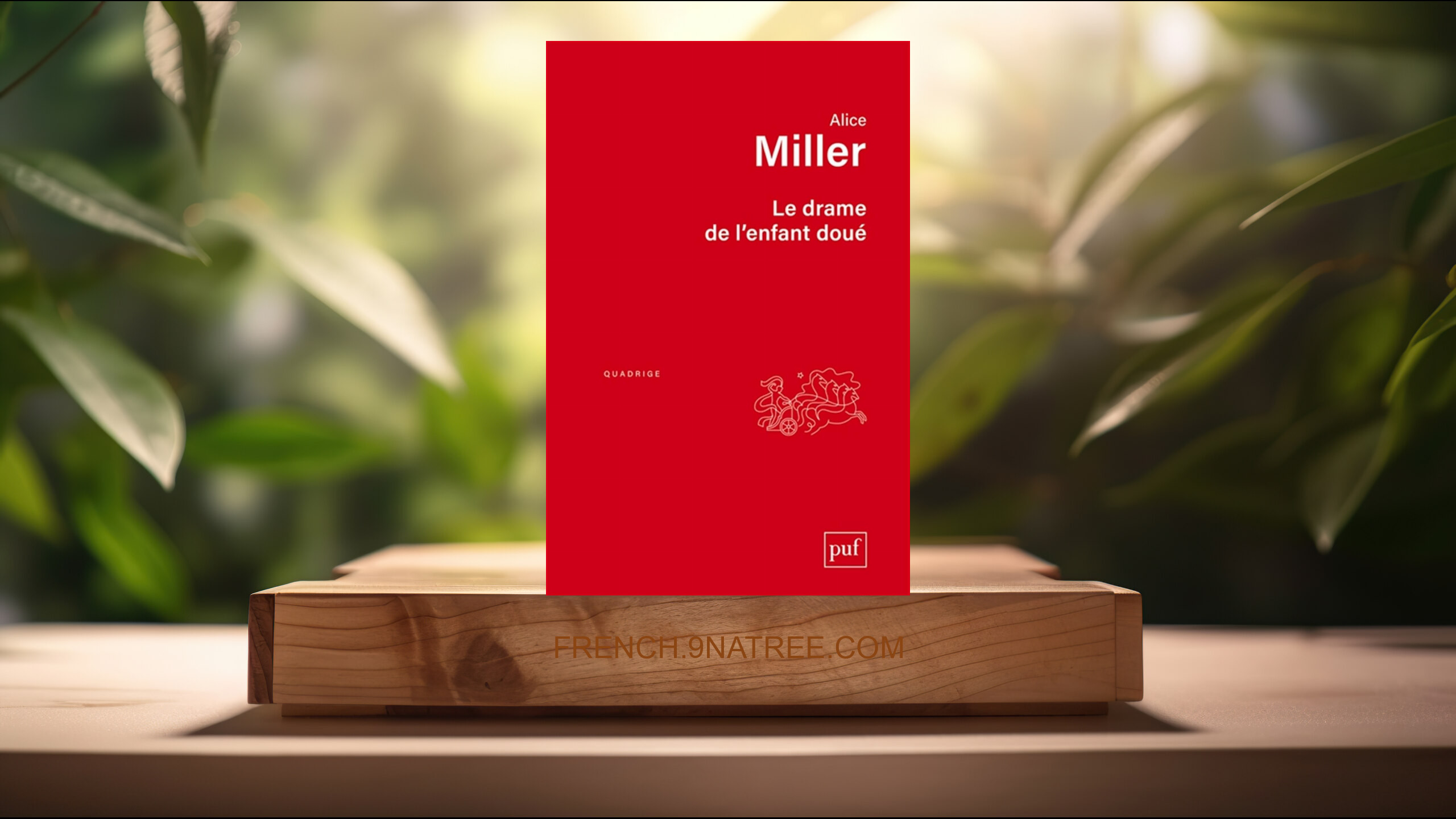 [Critique] Le drame de l'enfant doué (Alice Miller) Résumé.