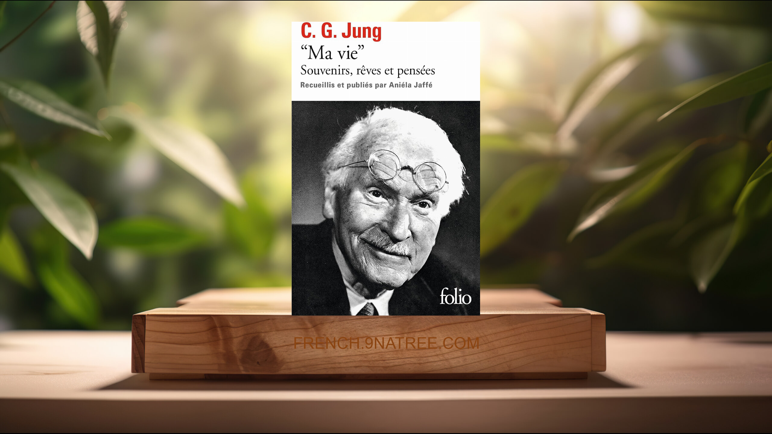 [Critique] Ma vie (Carl Gustav Jung) Résumé.