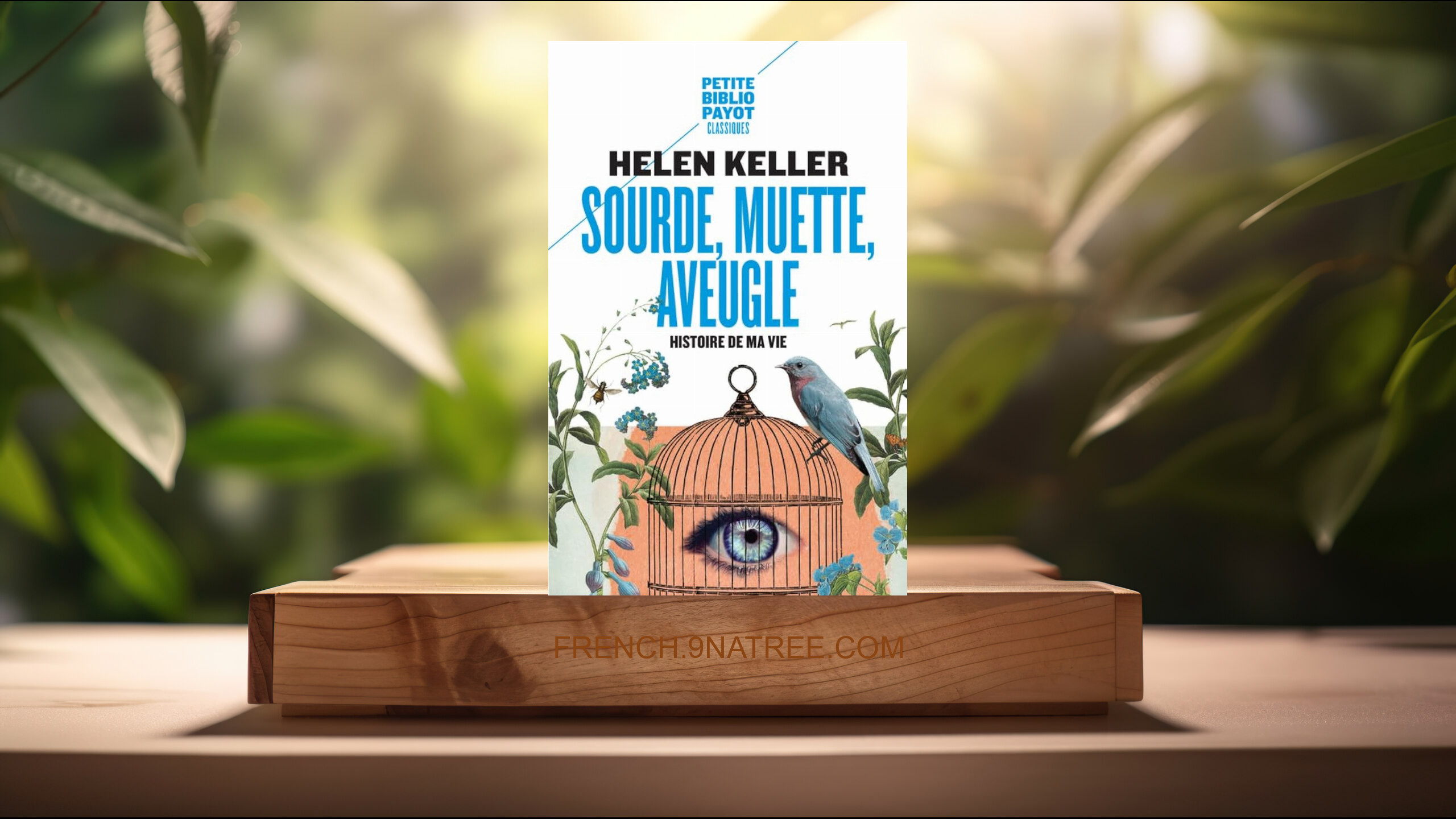 [Critique] Sourde, muette, aveugle (Helen Keller) Résumé.