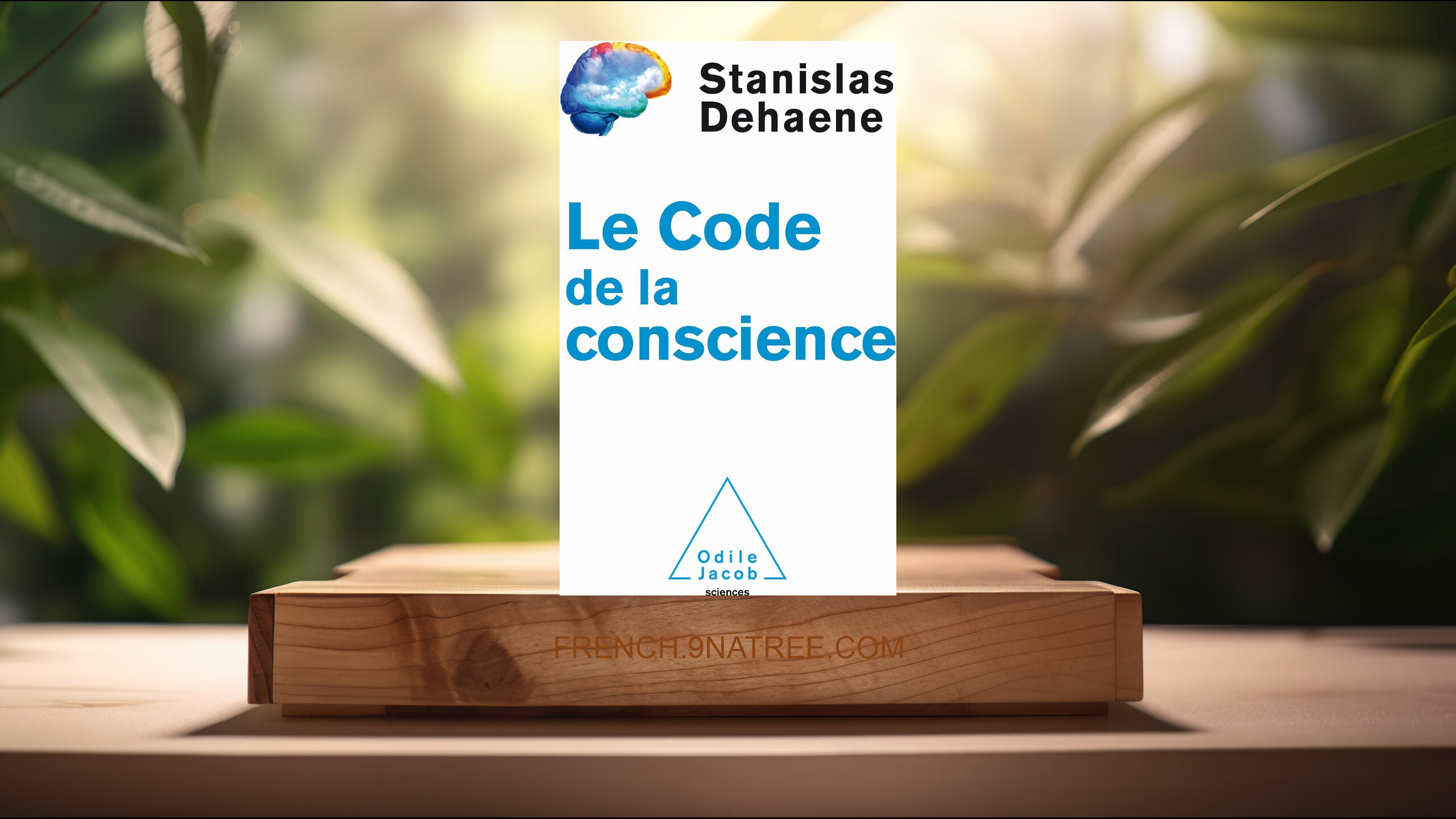 [Critique] Le code de la conscience (Stanislas Dehaene) Résumé.