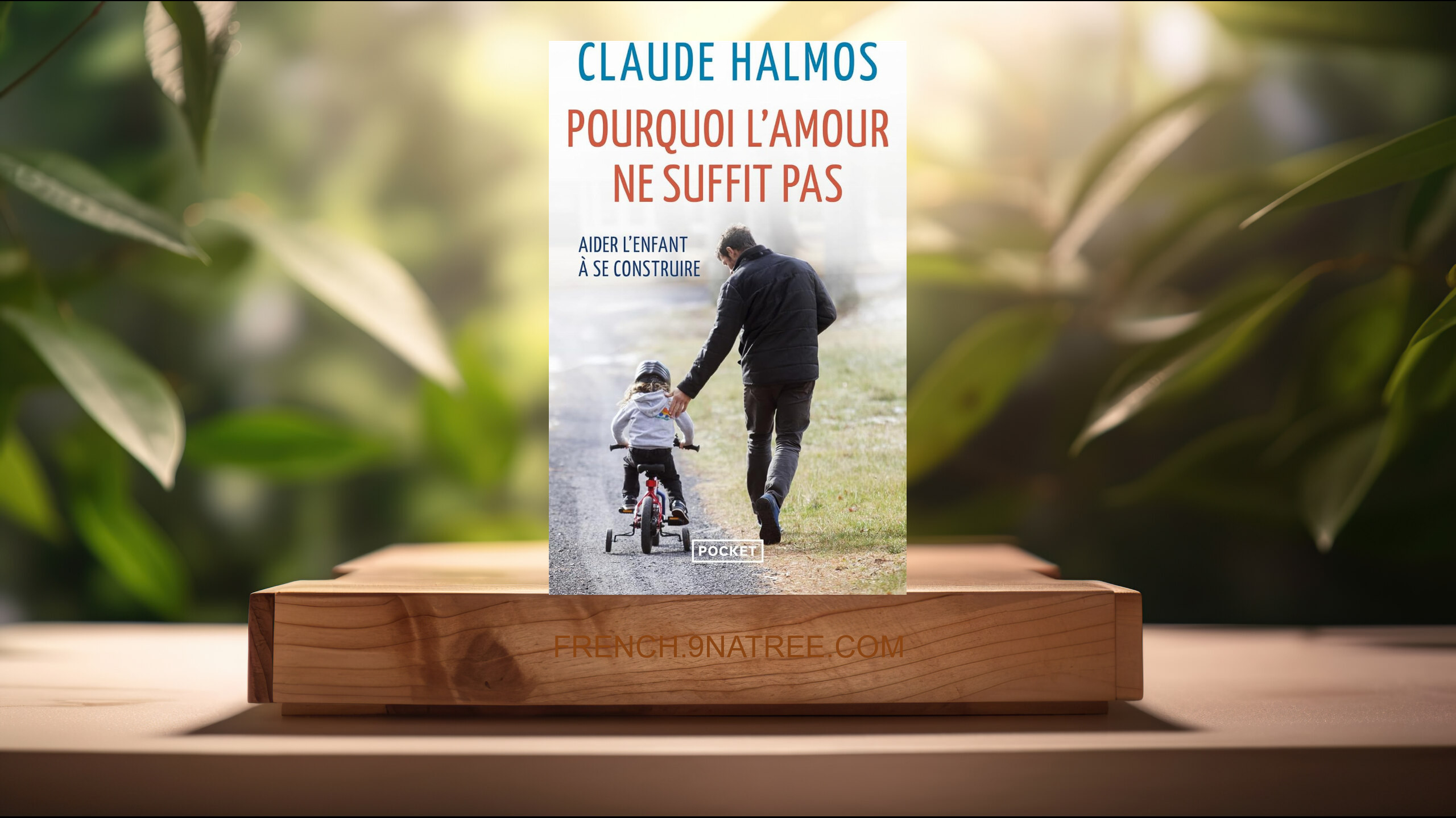 [Critique] Pourquoi l'amour ne suffit pas (Claude Halmos) Résumé.