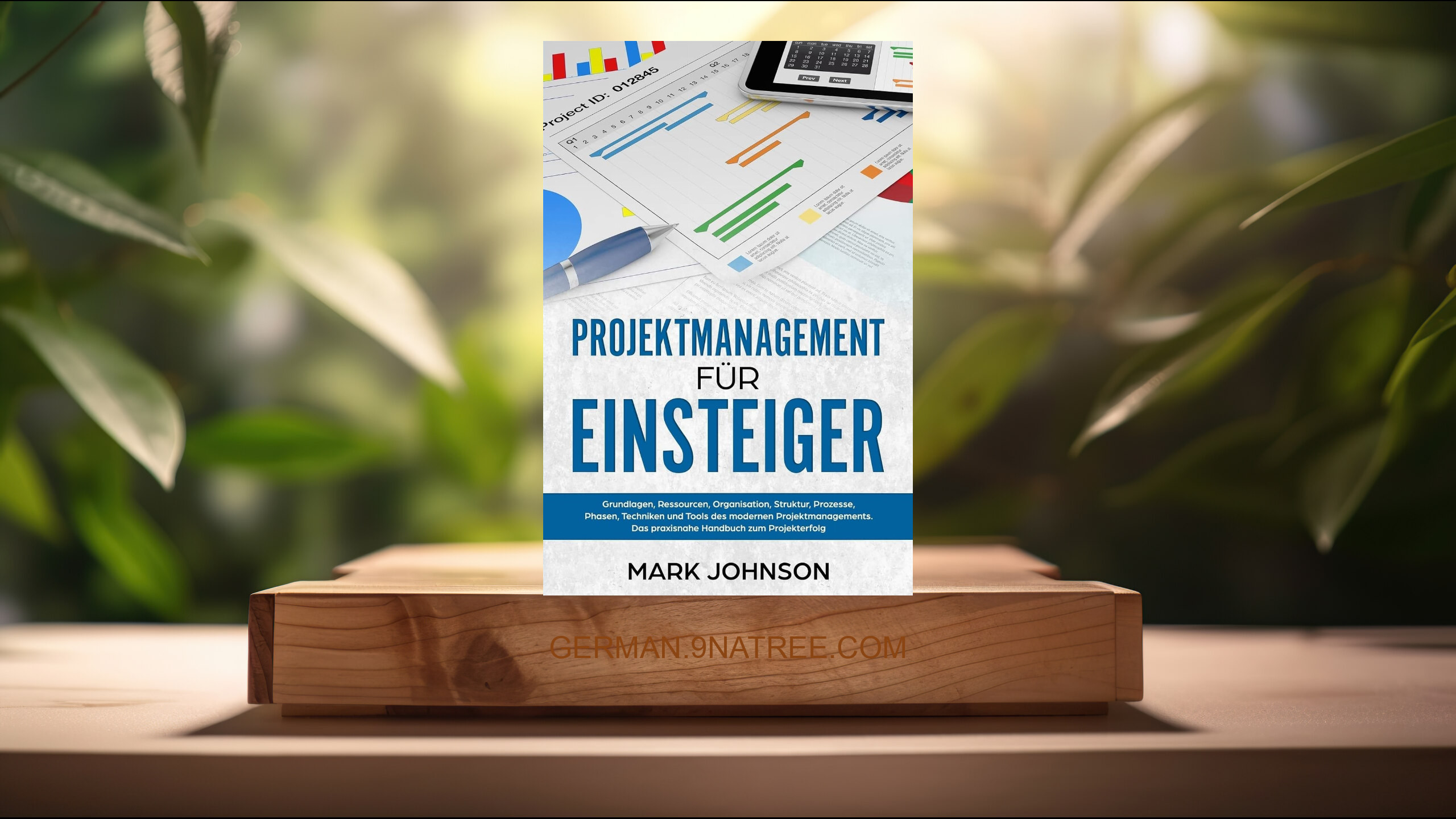 [Rezensiert] Projektmanagement für Einsteiger (Mark Johnson) Zusammengefasst.