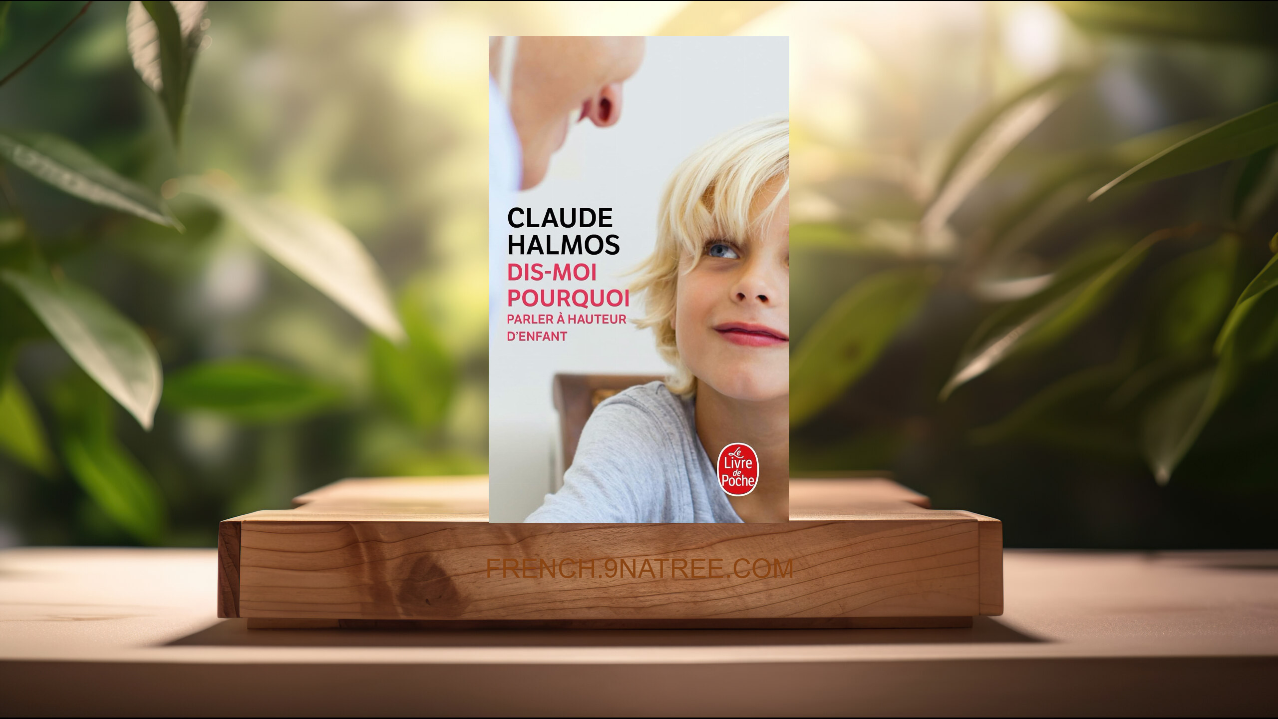 [Critique] Dis-moi pourquoi (Claude Halmos) Résumé.