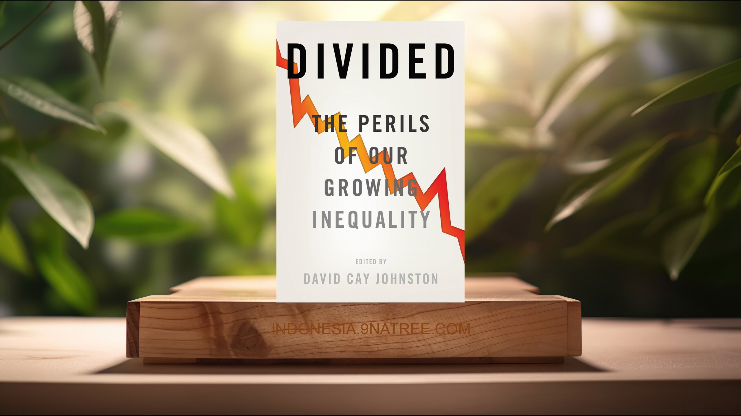 [Ulasan] Divided: The Perils of Our Growing Inequality (David Cay Johnston) Ringkasan.
