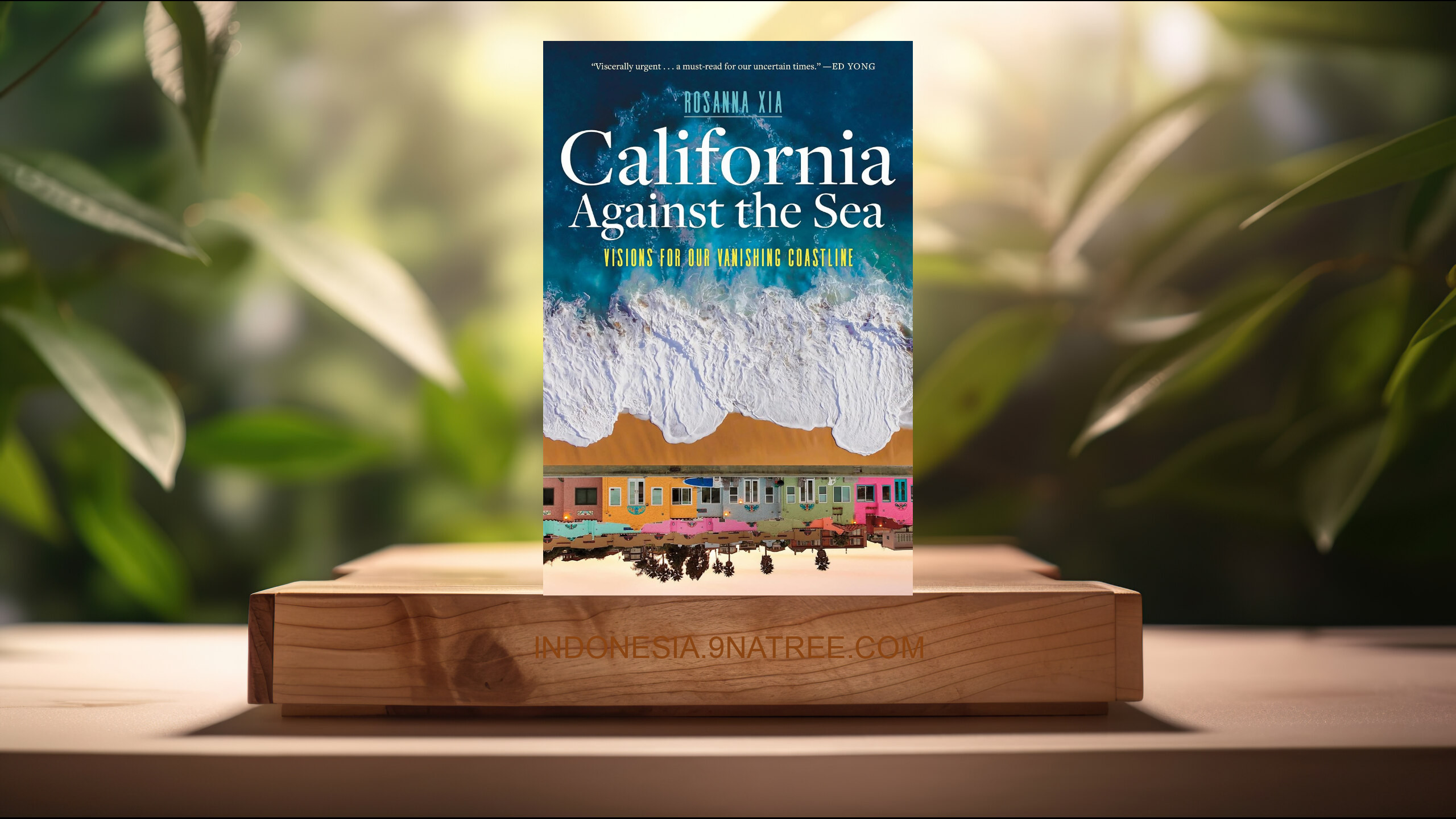 [Ulasan] California Against the Sea: Visions for Our Vanishing Coastline (Rosanna Xia) Ringkasan.