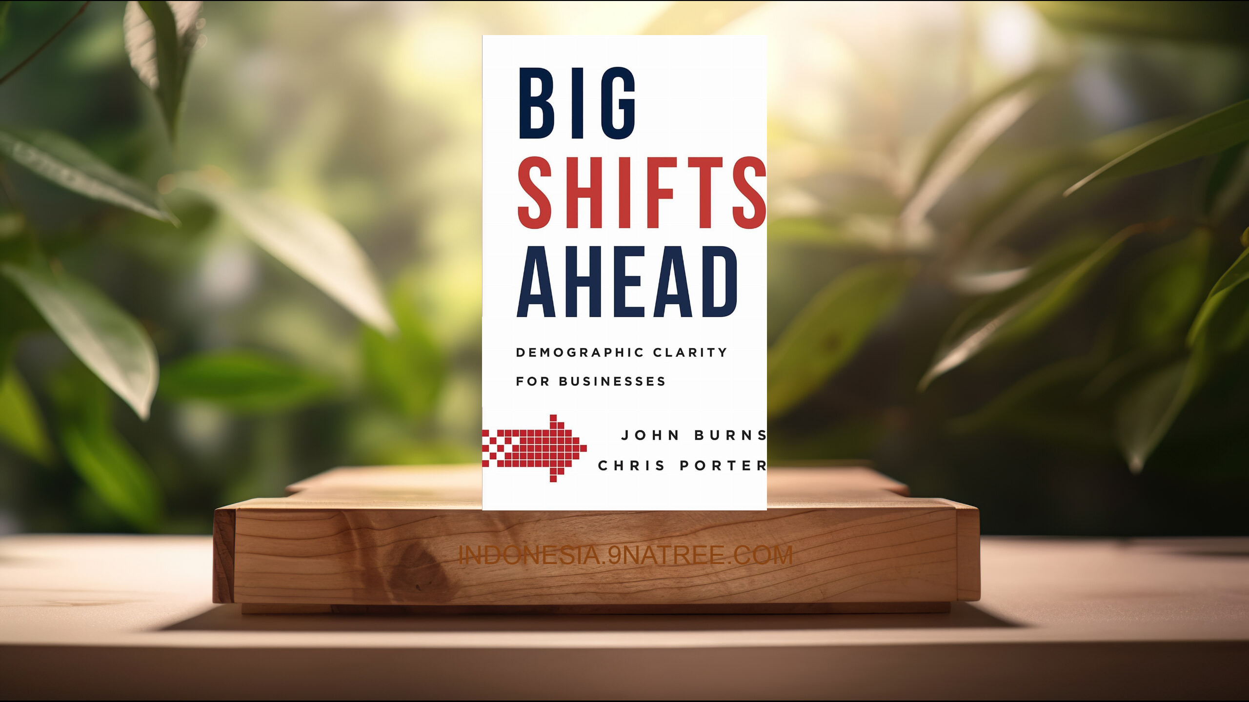 [Ulasan] Big Shifts Ahead: Demographic Clarity For Business (John Burns) Ringkasan.
