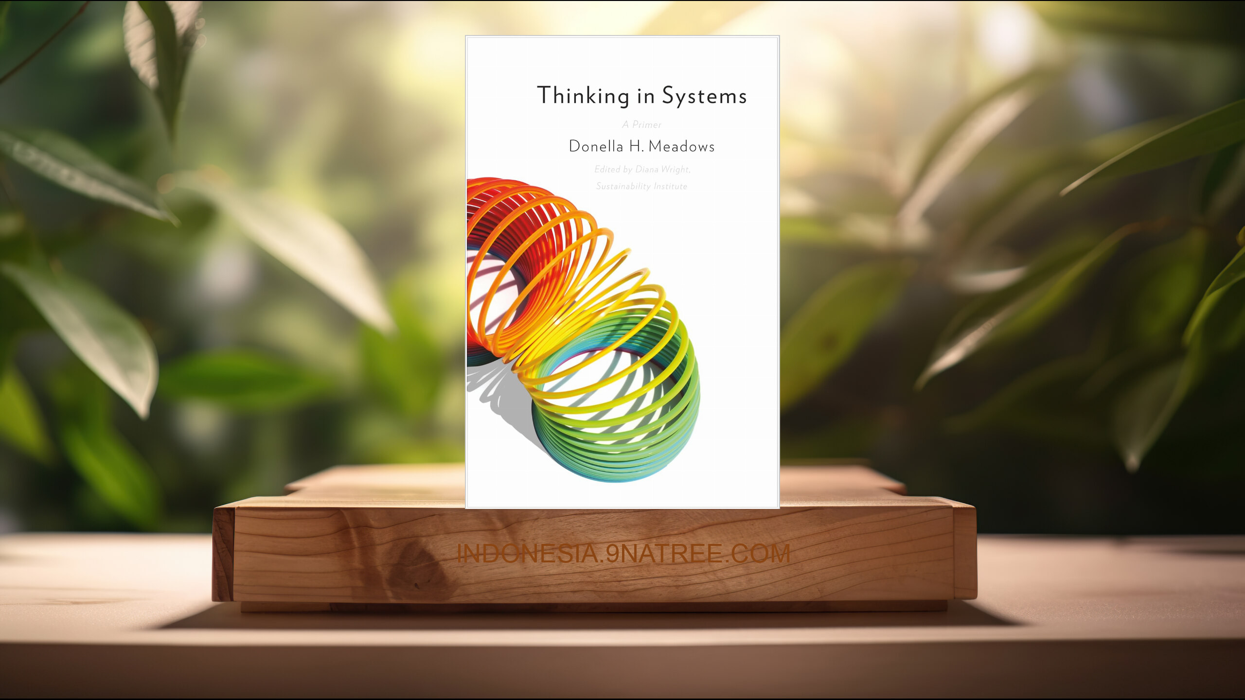 [Ulasan] Thinking in Systems: International Bestseller (Donella H. Meadows) Ringkasan.