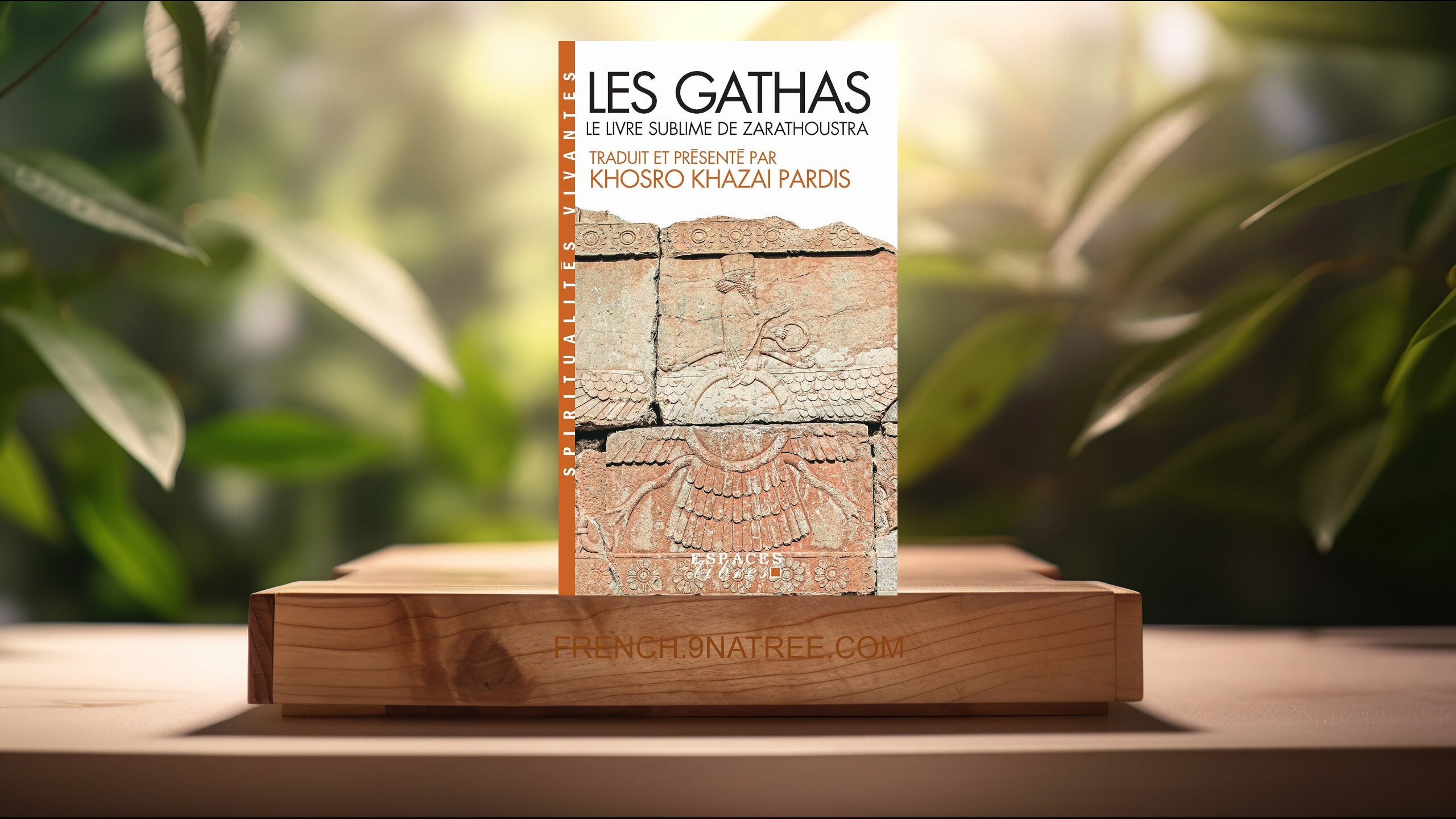 [Critique] Les Gathas  (Zarathoustra) Résumé.