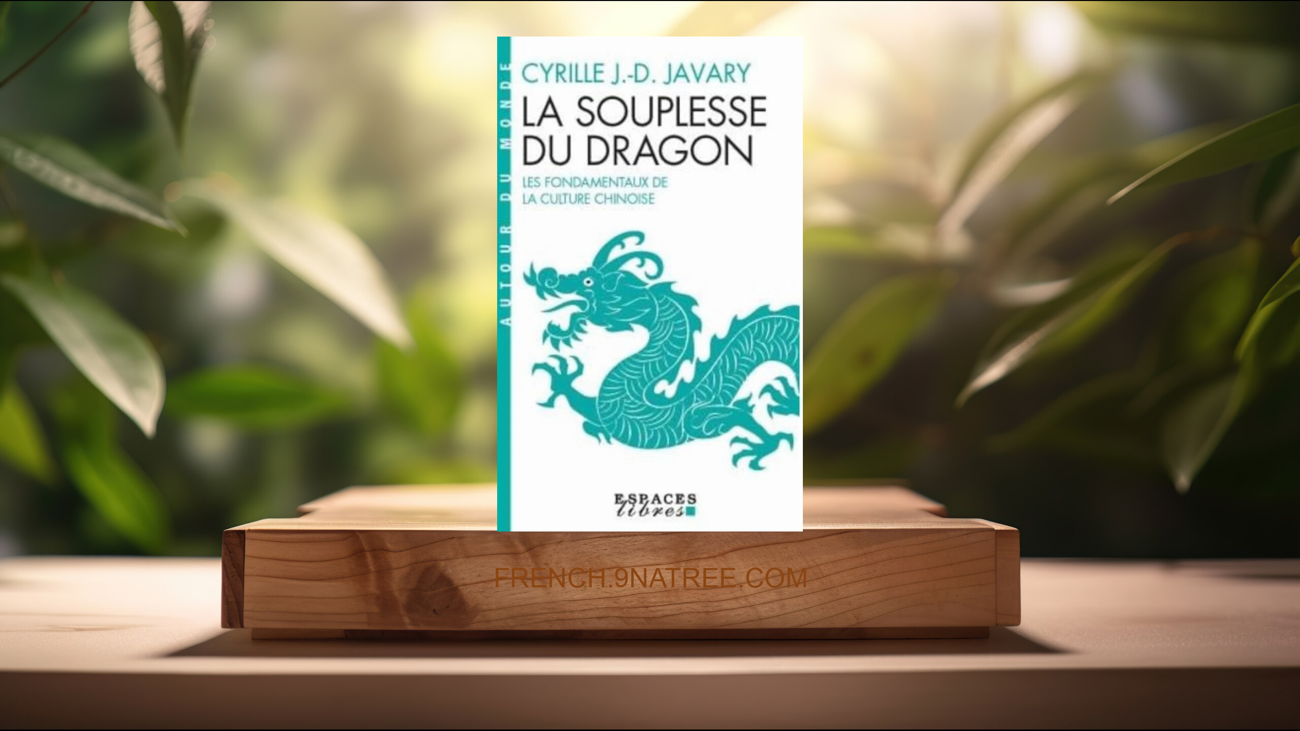 [Critique] La Souplesse du dragon: Les fondamentaux de la culture chinoise   (Cyrille J.-D. Javary) Résumé.