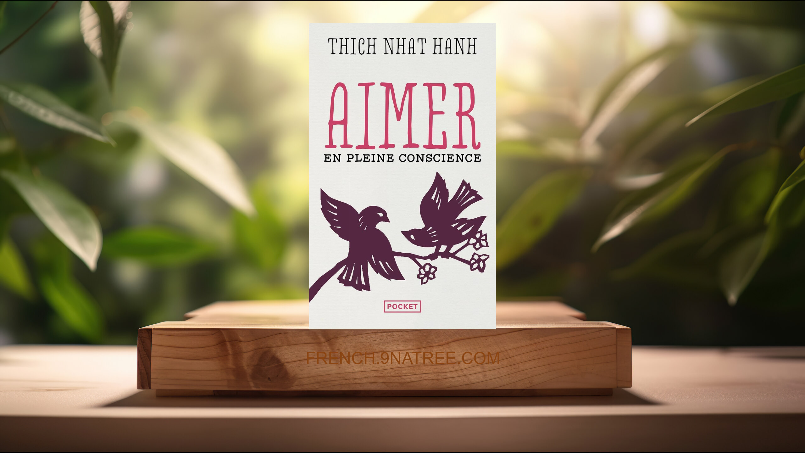 [Critique] Aimer en pleine conscience (Thich Nhat Hanh) Résumé.