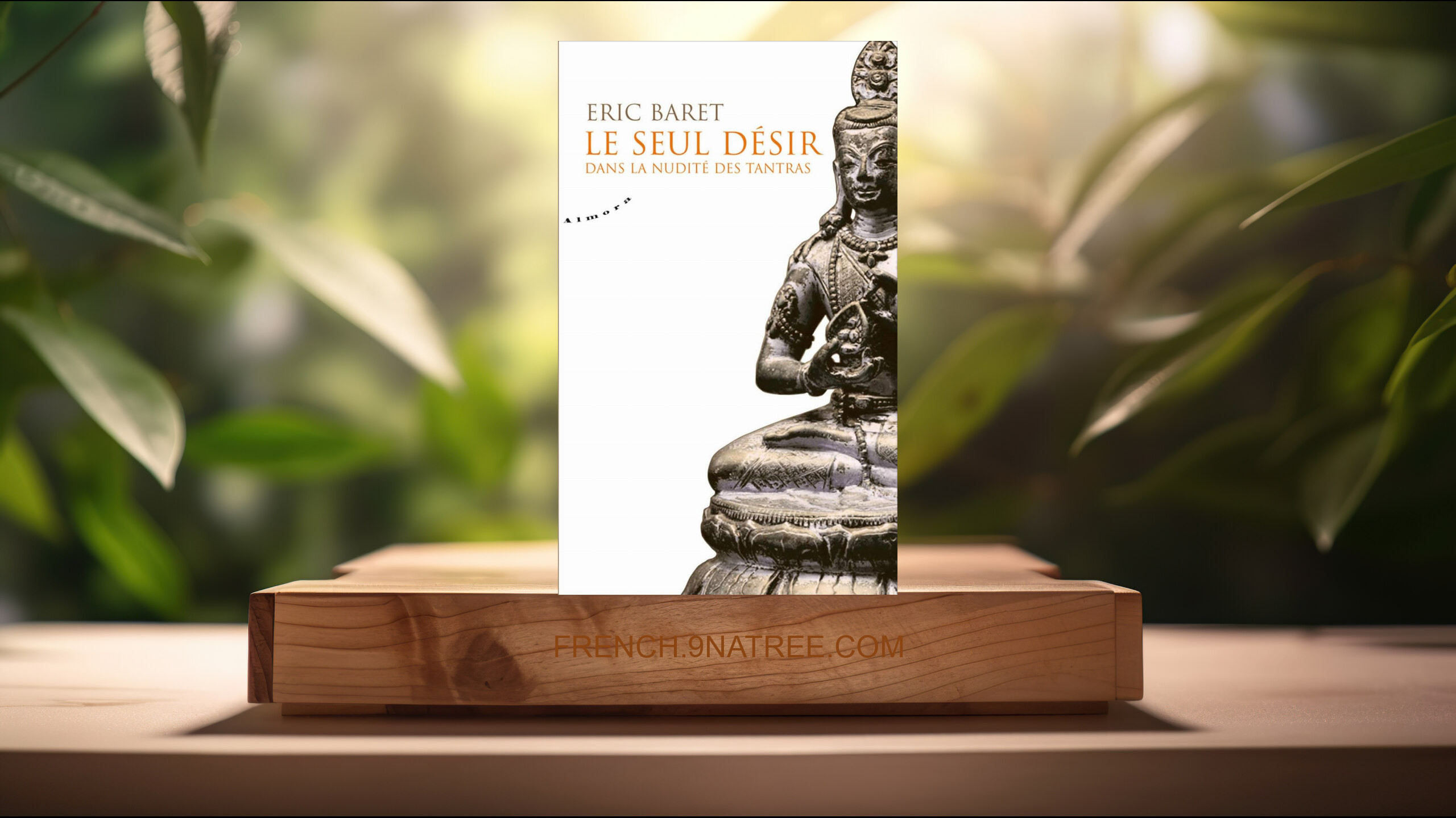 [Critique] Le seul désir - Dans la nudité des tantras (Éric Baret) Résumé.