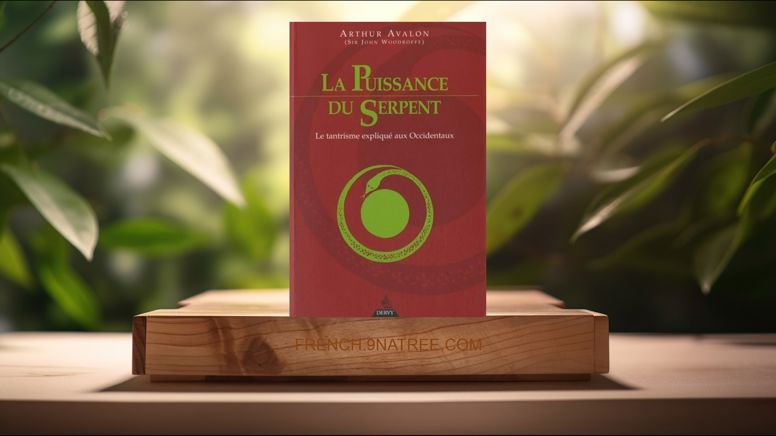 [Critique] La Puissance du Serpent - Le tantrisme expliqué a ux Occidentaux (Arthur Avalon) Résumé.