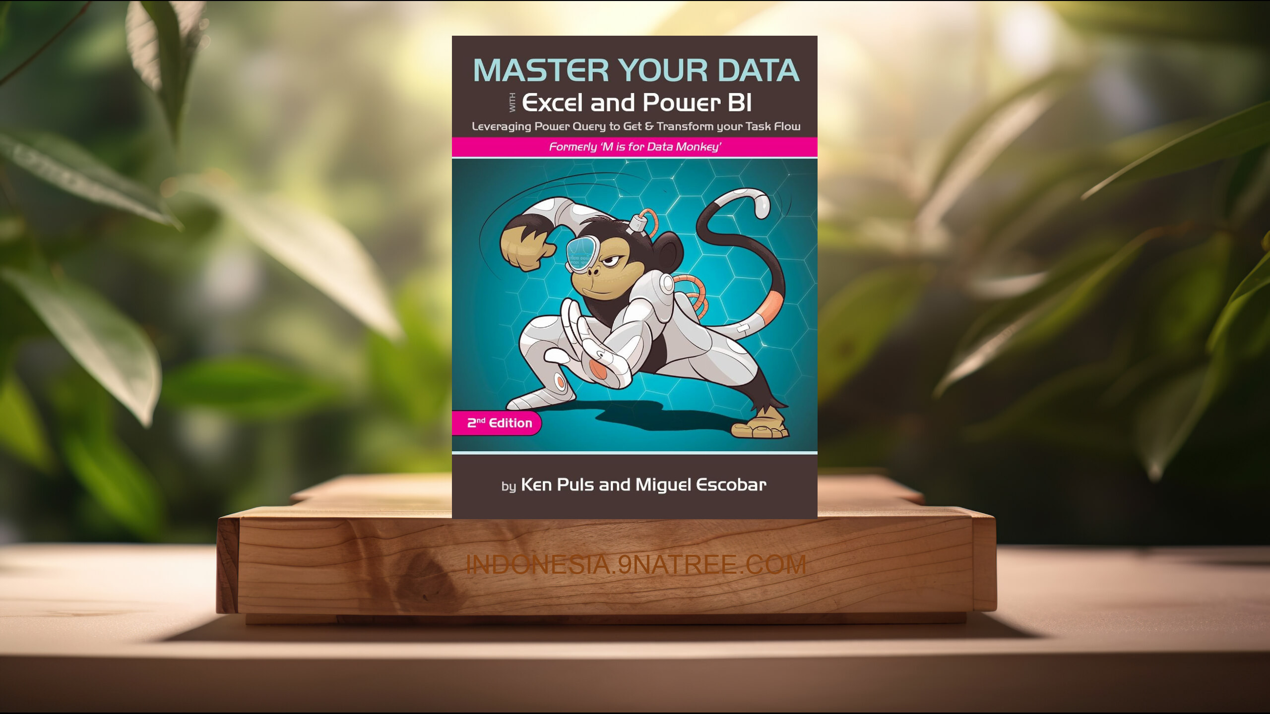 [Ulasan] Master Your Data with Power Query in Excel and Power BI (Miguel Escobar) Ringkasan.