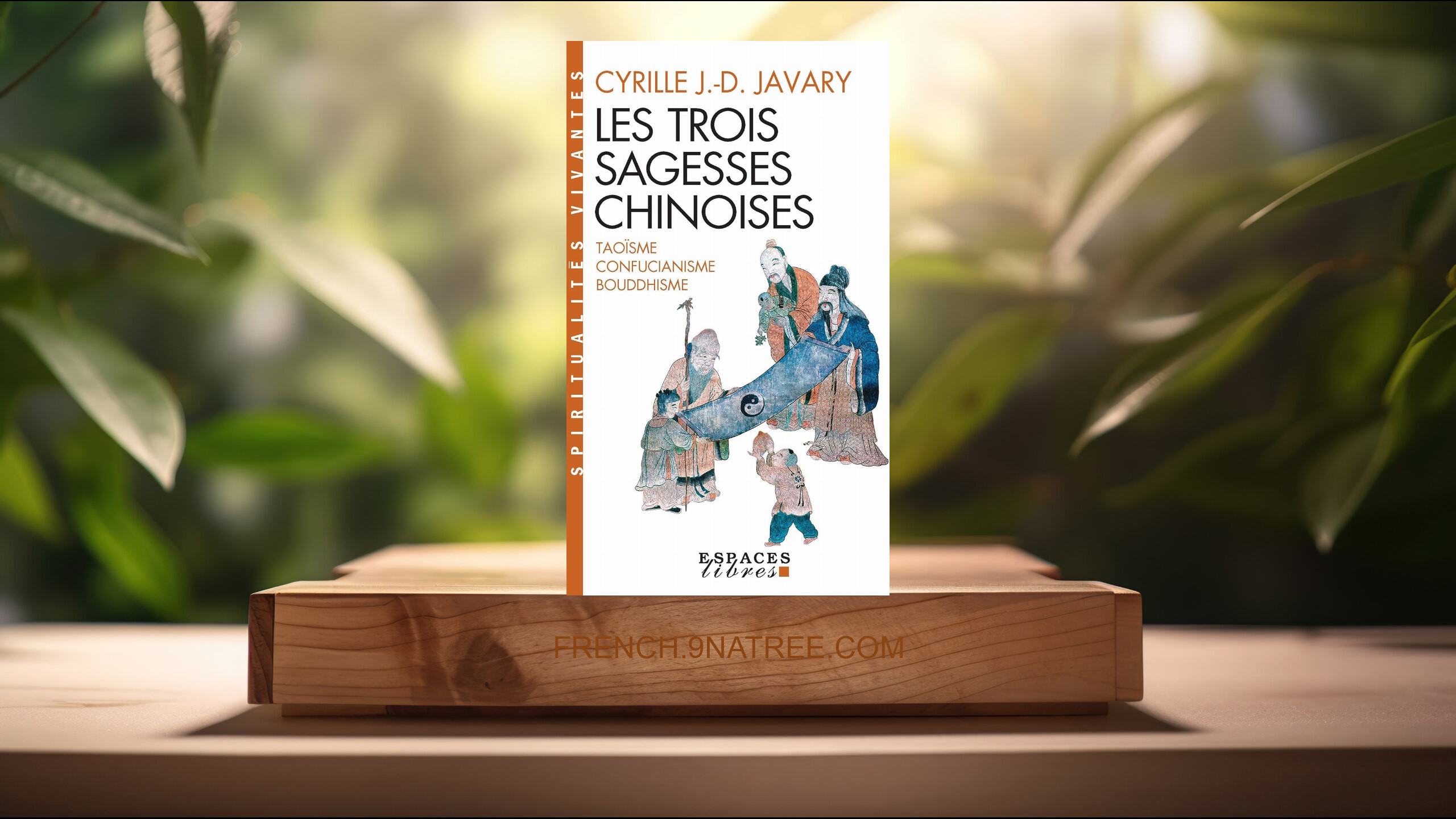 [Critique] Les Trois sagesses chinoises  (Cyrille J.-D. Javary) Résumé.