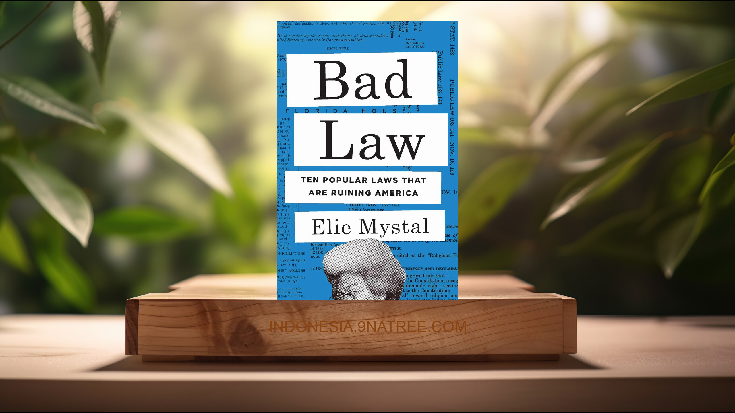 [Ulasan] Bad Law: Ten Popular Laws That Are Ruining America (Elie Mystal) Ringkasan.