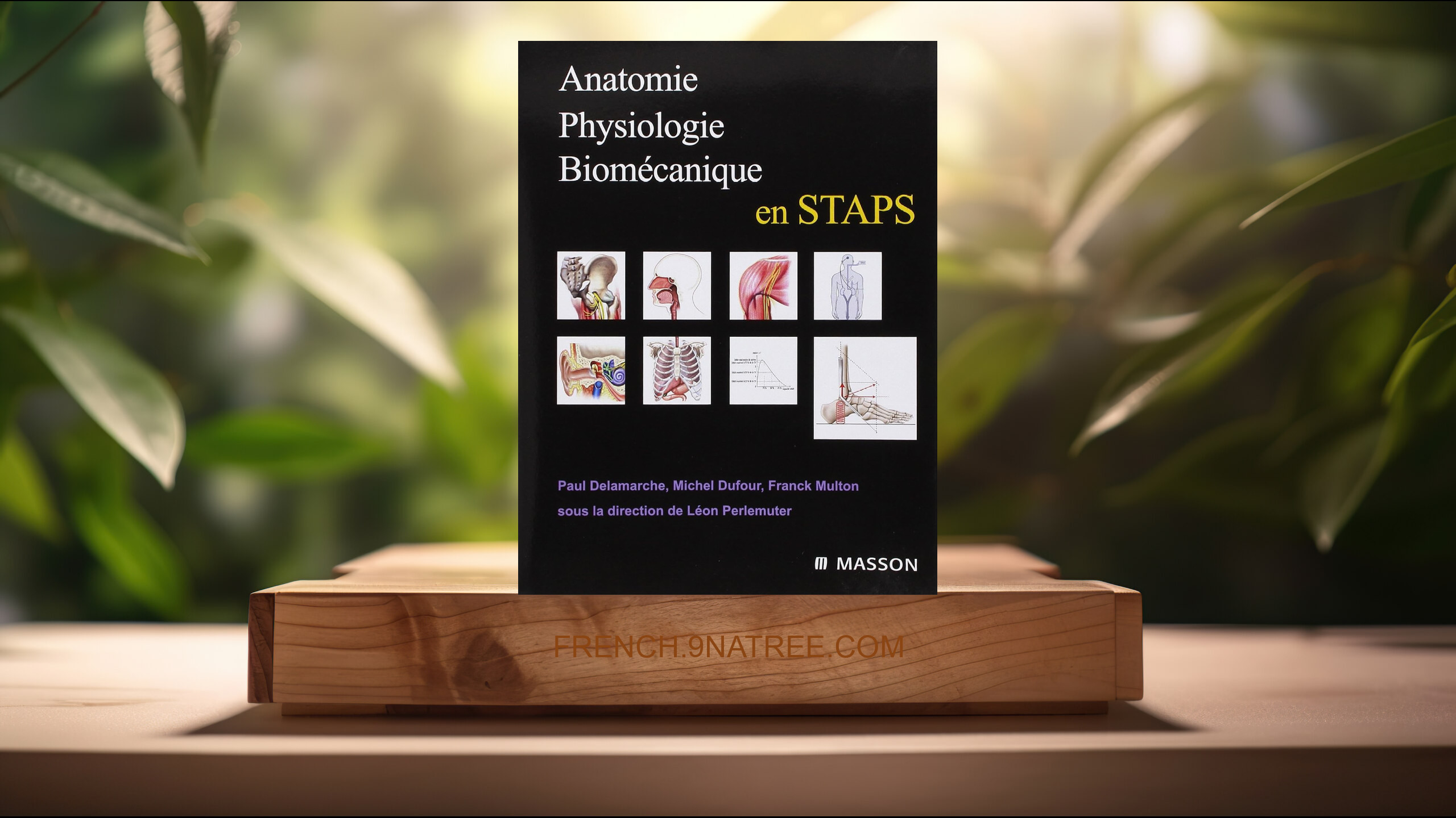 [Critique] Anatomie, physiologie, biomécanique en STAPS: En Staps (Paul Delamarche) Résumé.