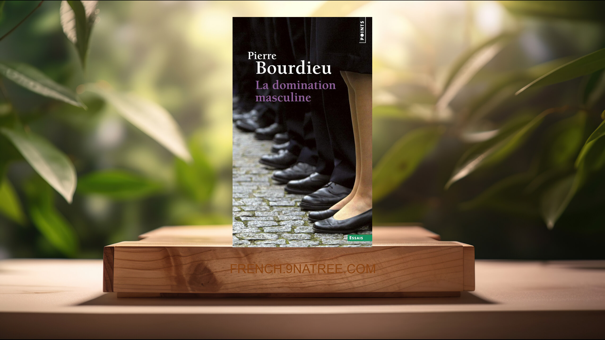 [Critique] La Domination masculine (Pierre Bourdieu) Résumé.